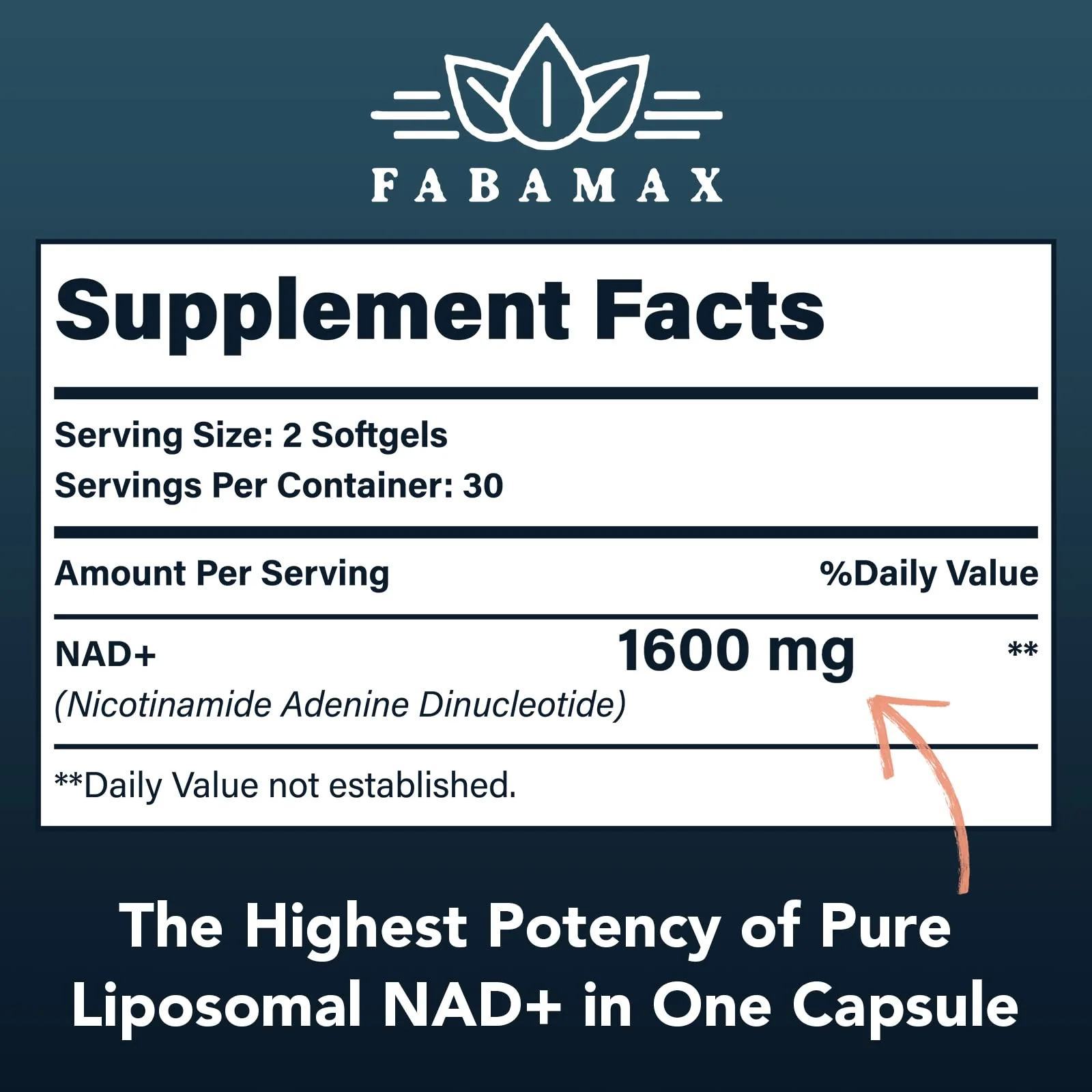 1600 mg Liposomal NAD+ Supplement – 98% Pure NAD+, Superior Absorption, 180 Softgels - Image 4