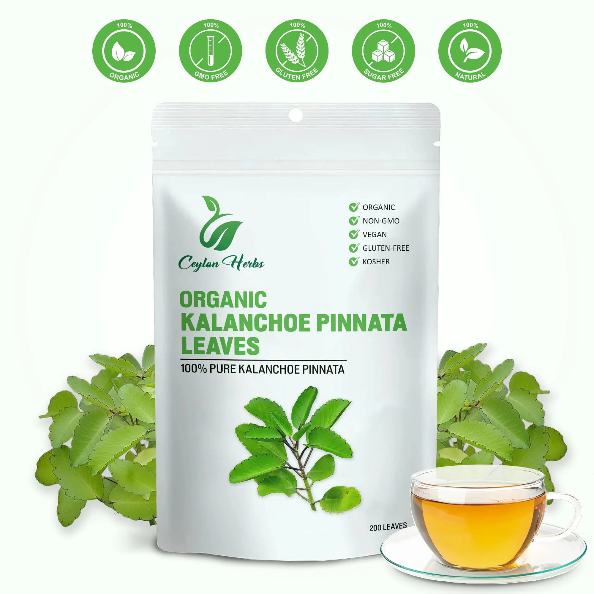 200 Kalanchoe Pinnata Leaves – Dried Organic, 100% Pure & Natural - Image 2
