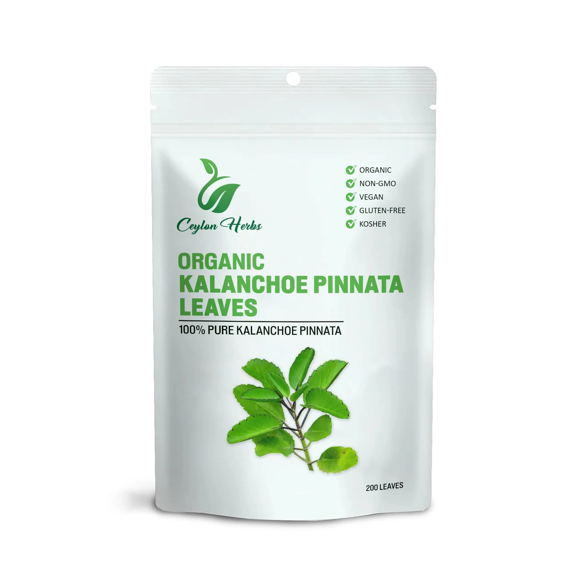 200 Kalanchoe Pinnata Leaves – Dried Organic, 100% Pure & Natural - Image 6