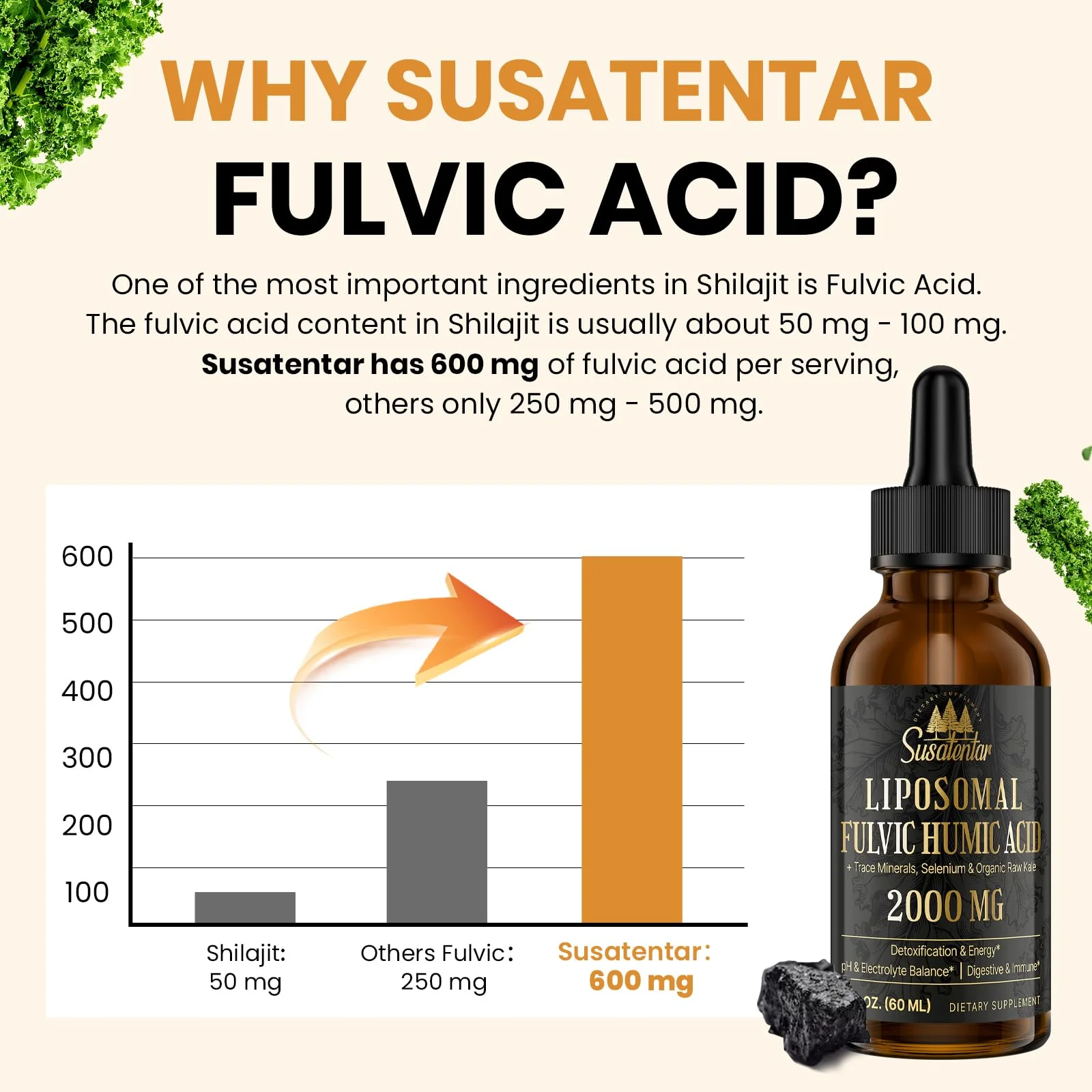 2000 mg Liposomal Fulvic + Humic Acid & Trace Minerals – More Potent Than Shilajit | Energy, Digestion, Immunity | 6 oz - Image 5