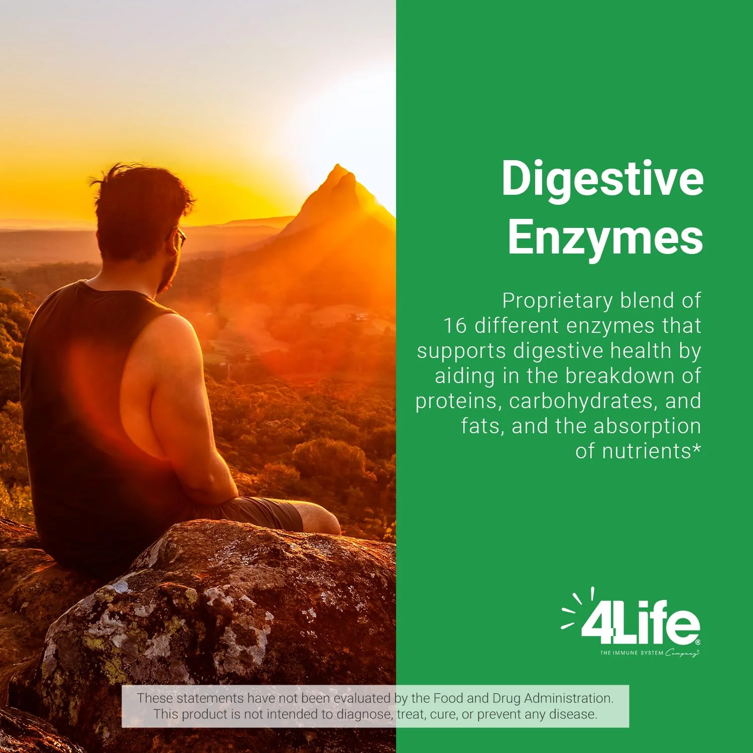 4Life Digestive Enzymes - Supports Digestive and Intestinal Health, Food Absorption, and Breakdown of Protein, Carbohydrates, and Fats - 90 Capsules - Image 4