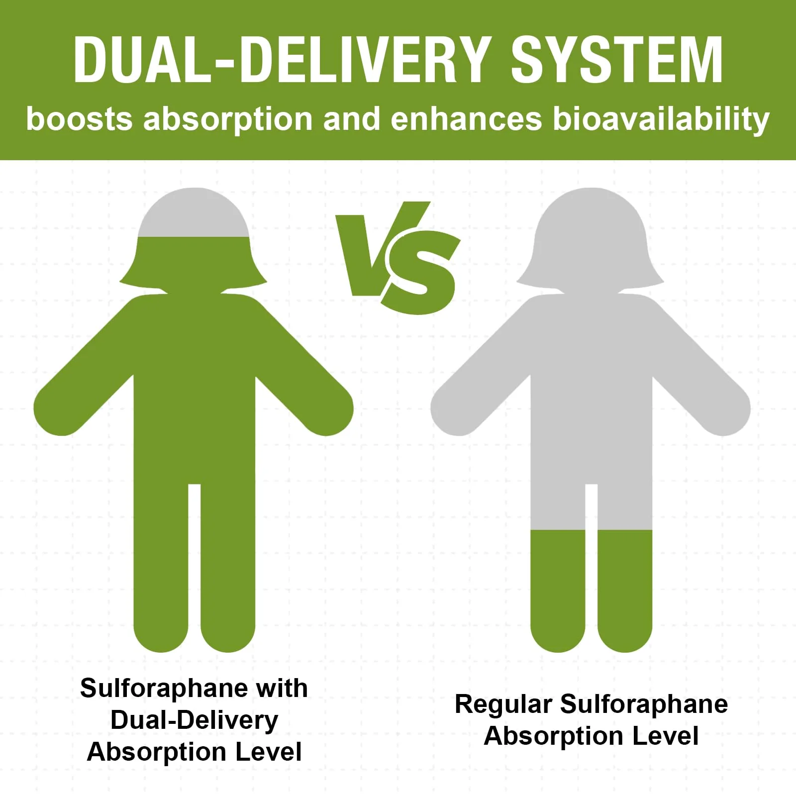 800 mg Liposomal Sulforaphane – Dual-Delivery, Full-Spectrum Broccoli Extract | 360 Softgels - Image 3