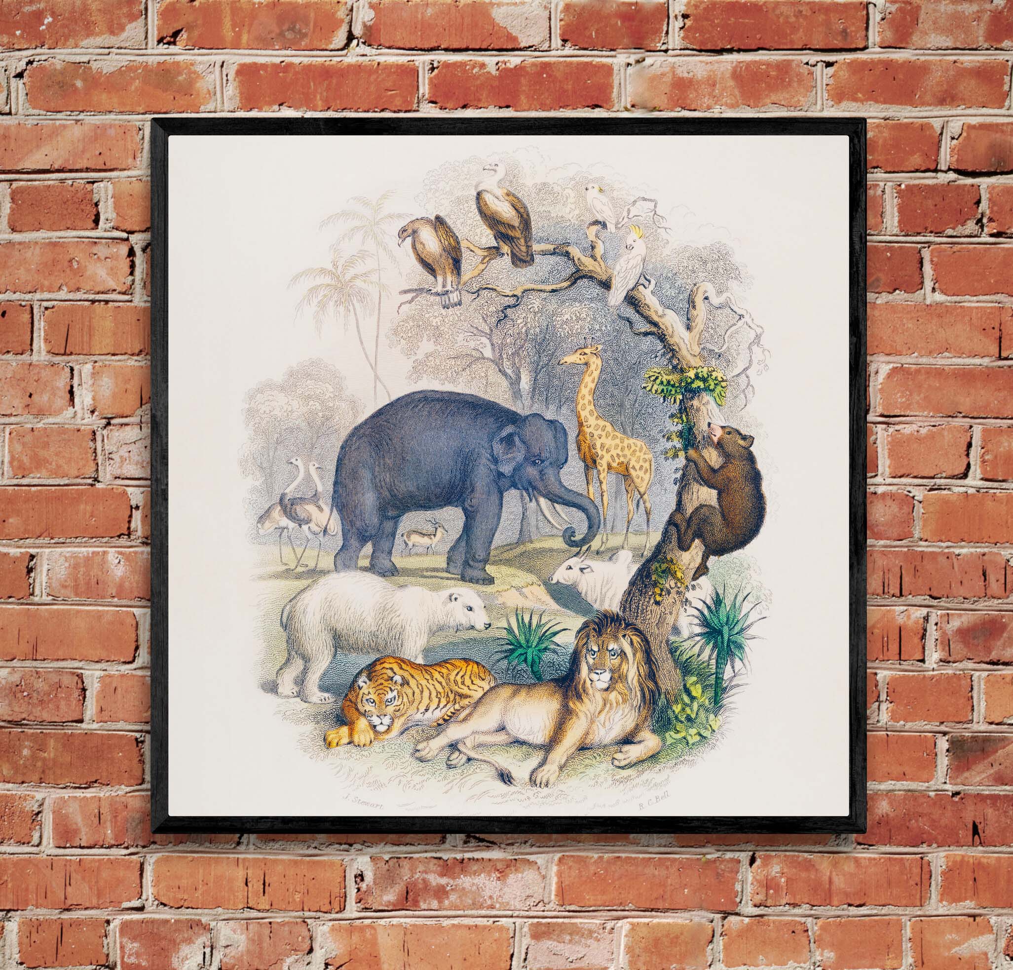 "A History of the Earth and Animated Nature" on Framed Canvas, Acrylic, Canvas, Framed Prints or Print-only
