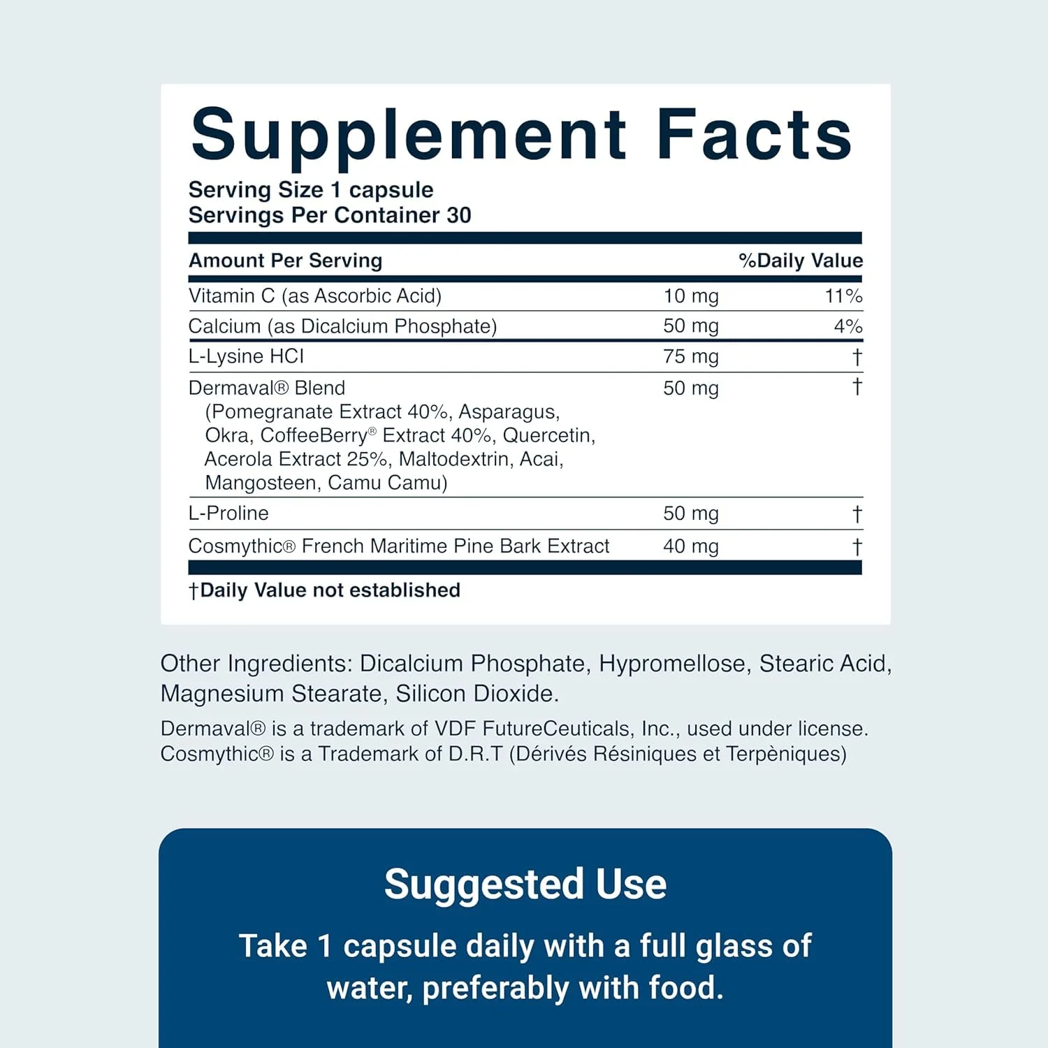 ActivatedYou Essential Skin Food – Plant-Based Collagen & Elastin Support for Youthful Skin (3 Pack, 90-Day Supply) - Image 3