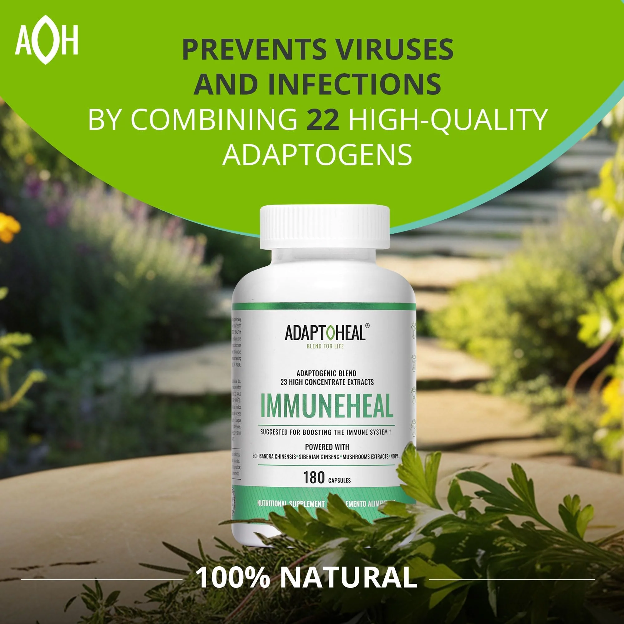 ADAPTOHEAL Immuneheal – Adaptogen & Immune Support Capsules with Schisandra, Ginseng & Mushroom Extract (180 Capsules) - Image 13