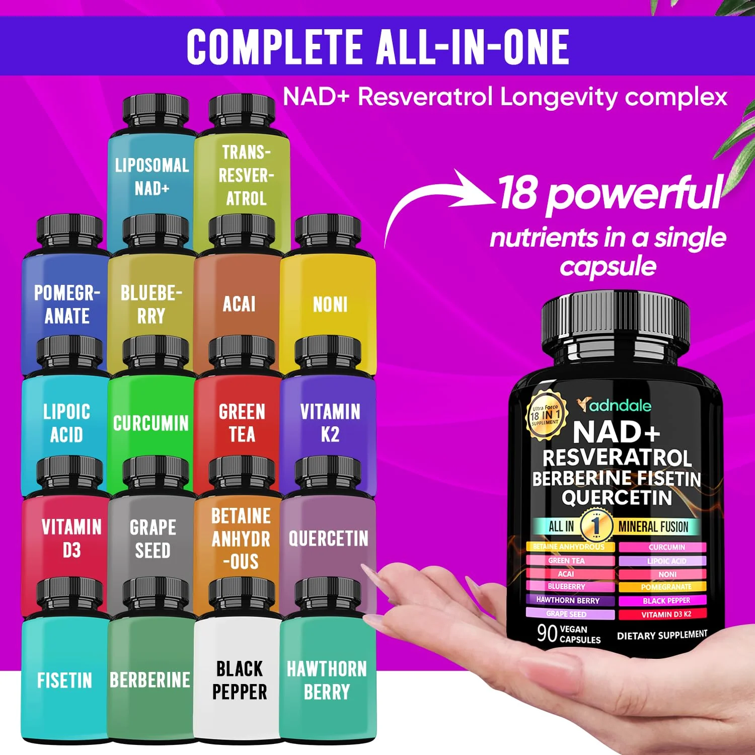 Adndale NAD Supplement – Longevity Formula with NAD+, Trans-Resveratrol, Berberine, Quercetin, 180 Capsules - Image 11