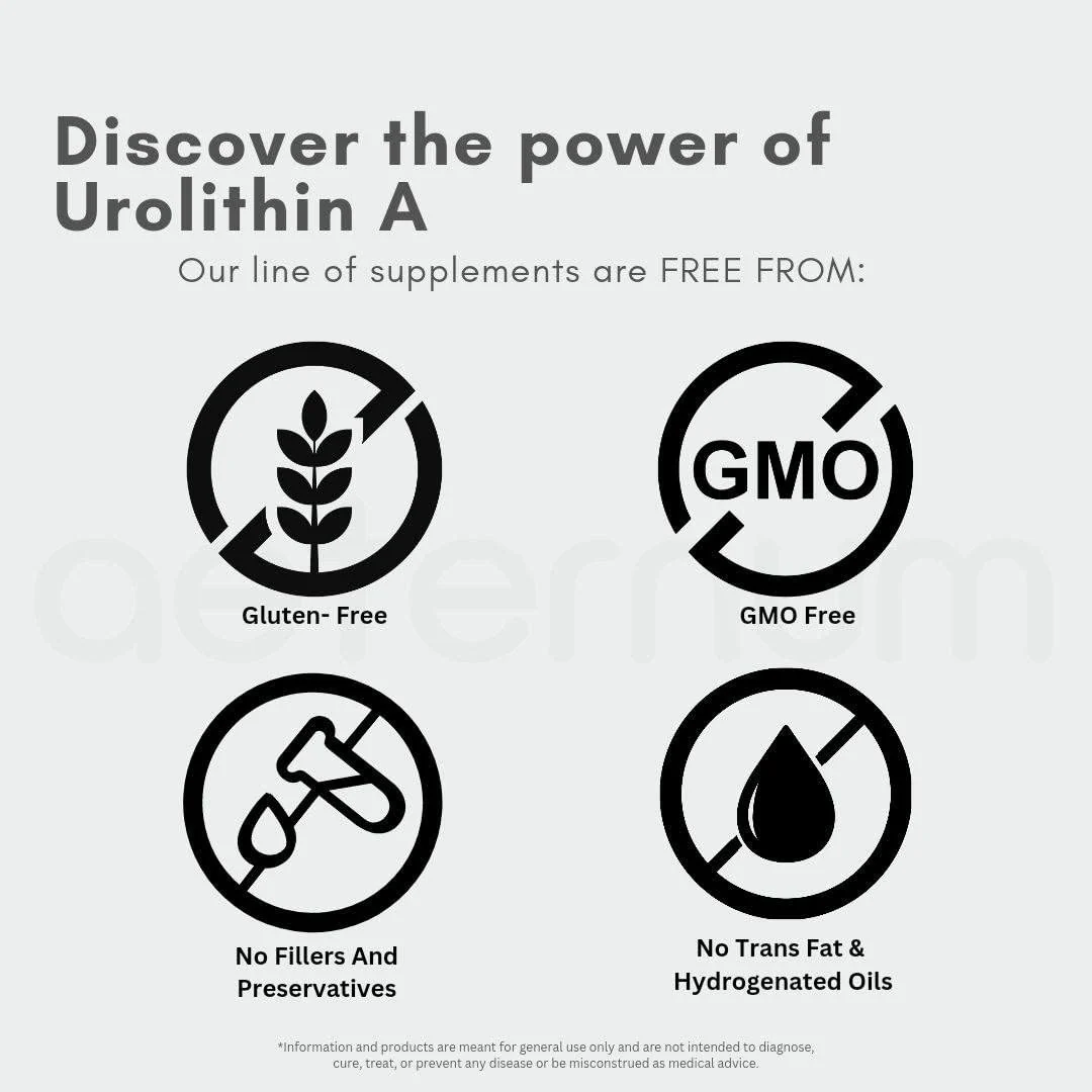 aeternum Urolithin A - UA - Capsules - 500mg - 60 Capsules - Image 3