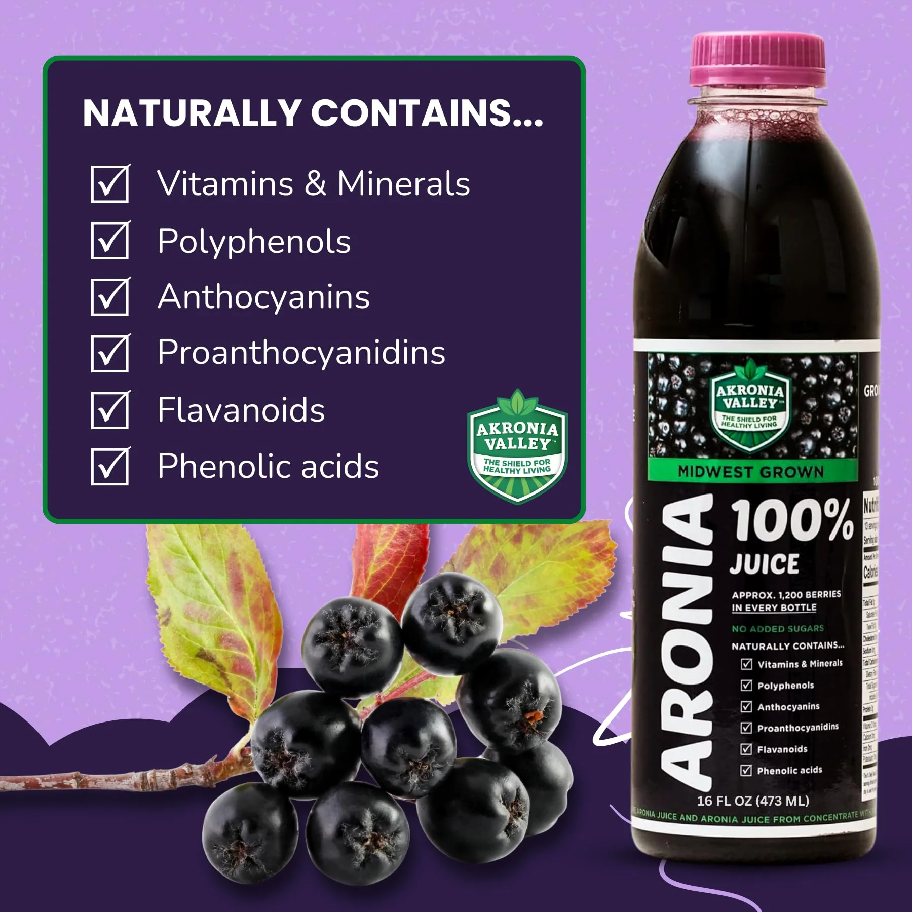 Akronia Valley 100% Aronia Berry Juice | 16 Fl Oz (Pack of 6) One Month Supply | Gluten Free Superfood Juice Drink - Image 2