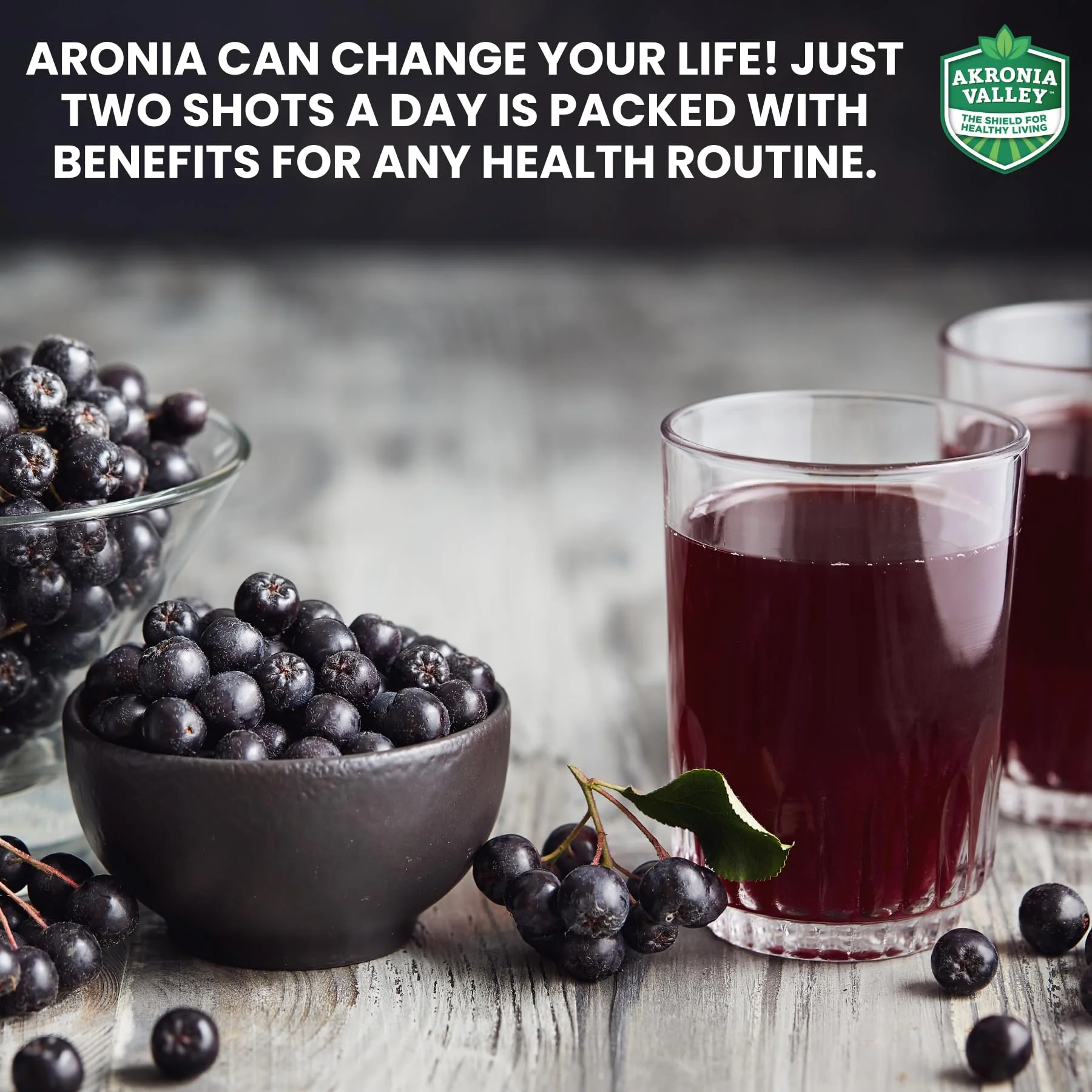 Akronia Valley 100% Aronia Berry Juice | 16 Fl Oz (Pack of 6) One Month Supply | Gluten Free Superfood Juice Drink - Image 3