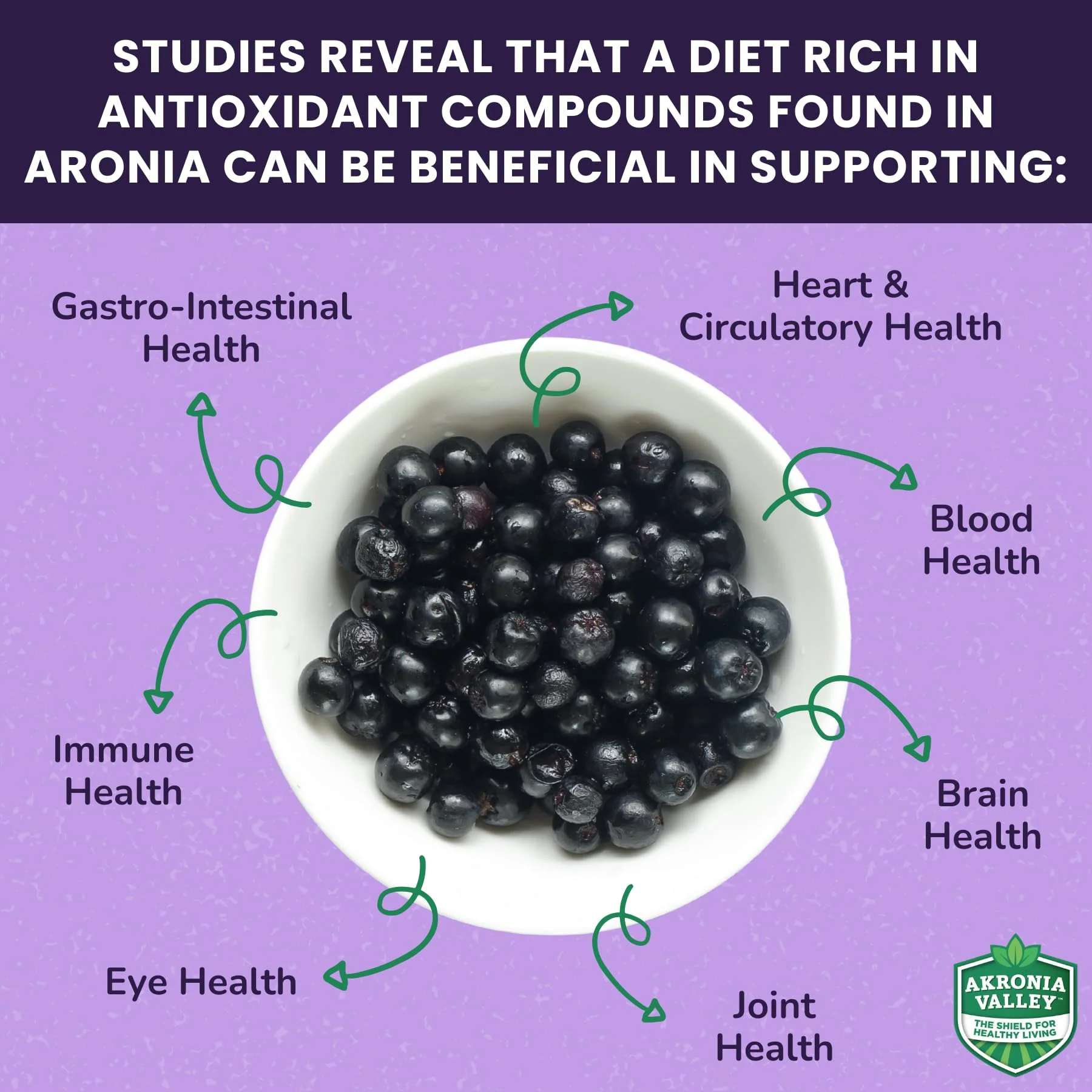 Akronia Valley 100% Aronia Berry Juice | 16 Fl Oz (Pack of 6) One Month Supply | Gluten Free Superfood Juice Drink - Image 5