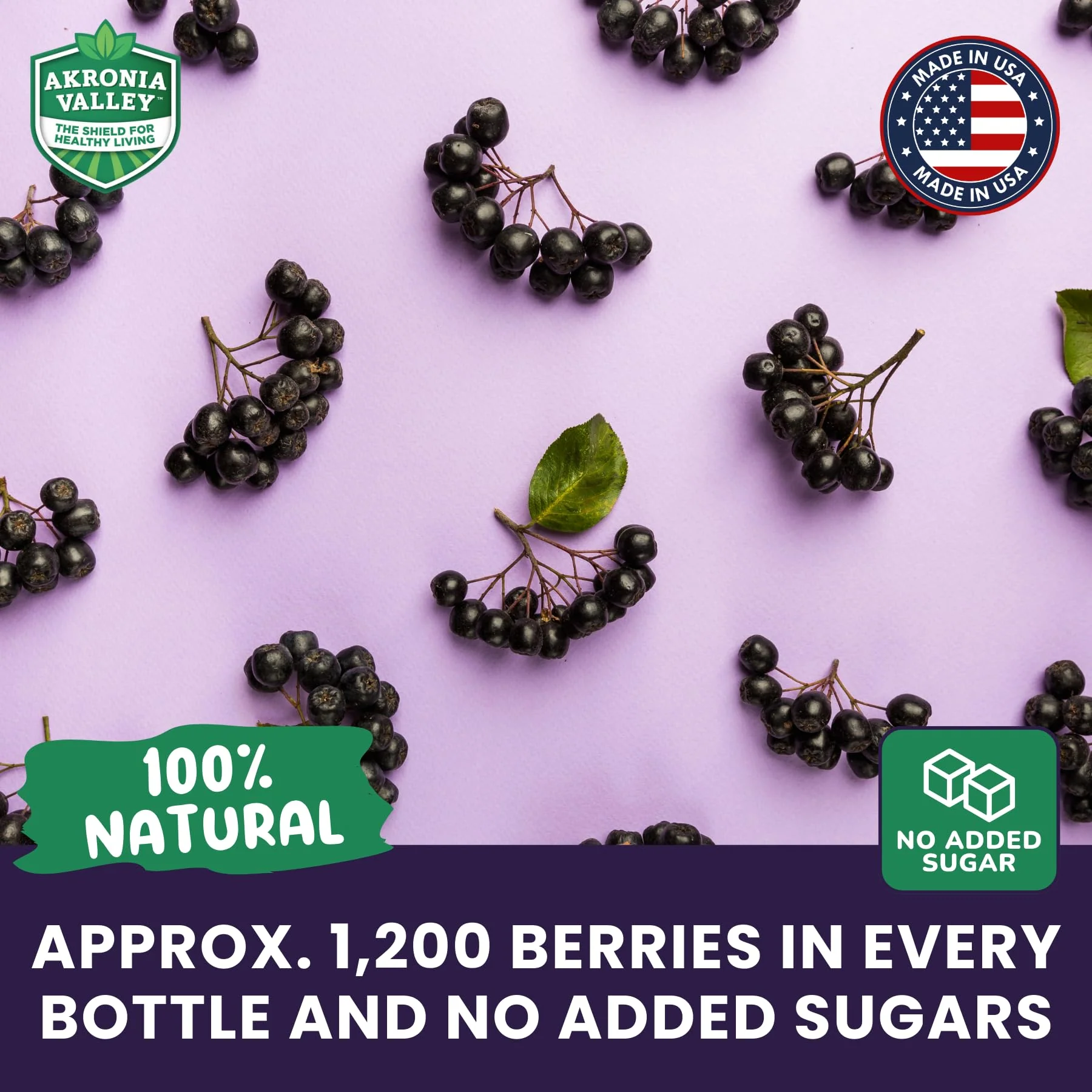 Akronia Valley 100% Aronia Berry Juice | 16 Fl Oz (Pack of 6) One Month Supply | Gluten Free Superfood Juice Drink - Image 6