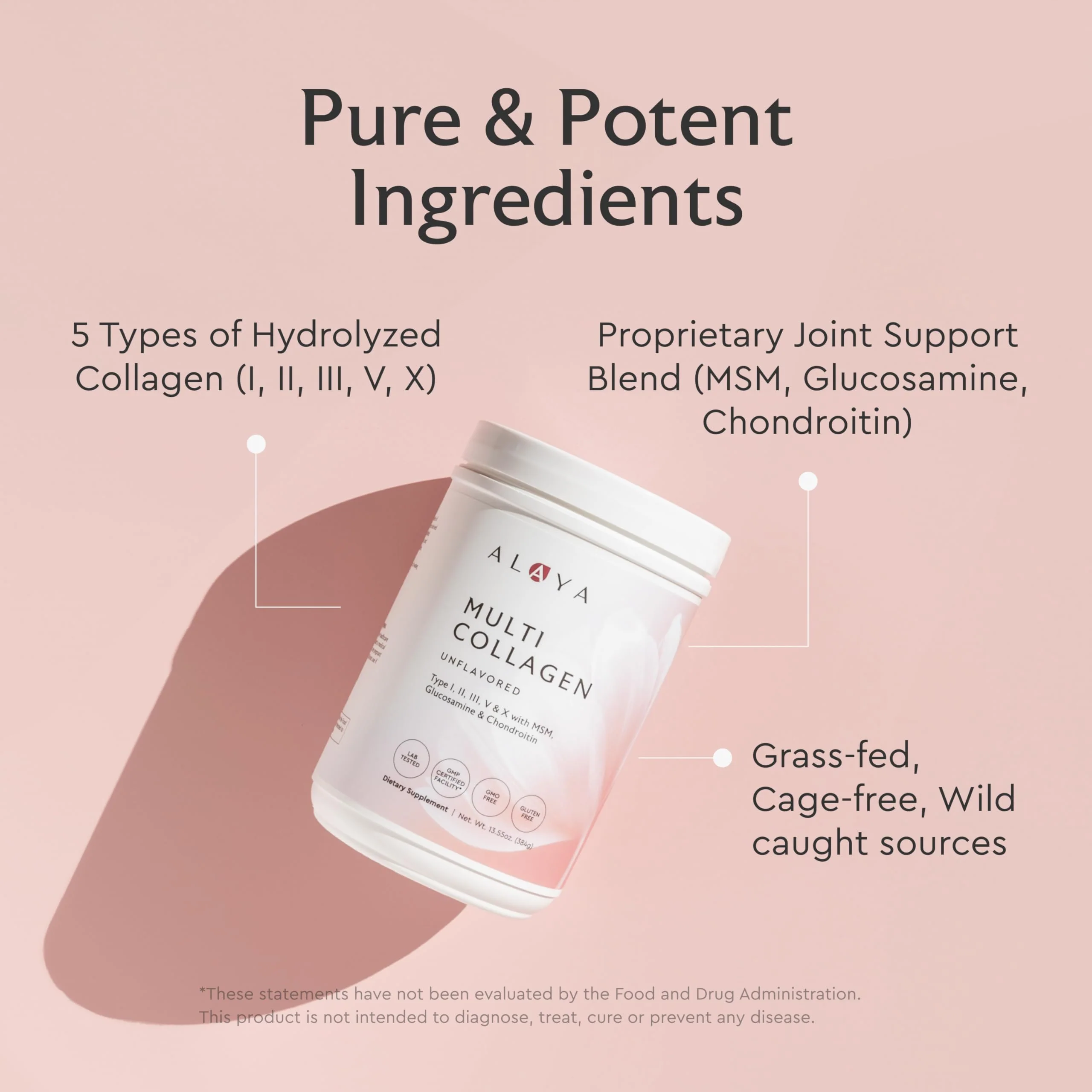 Alaya Naturals Multi Collagen Powder – Chocolate (Type I–X) with MSM & GC - Image 11