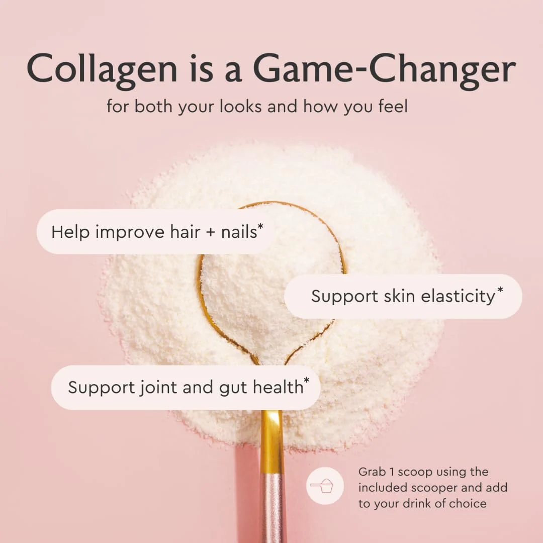 Alaya Naturals Multi Collagen Powder – Chocolate (Type I–X) with MSM & GC - Image 5