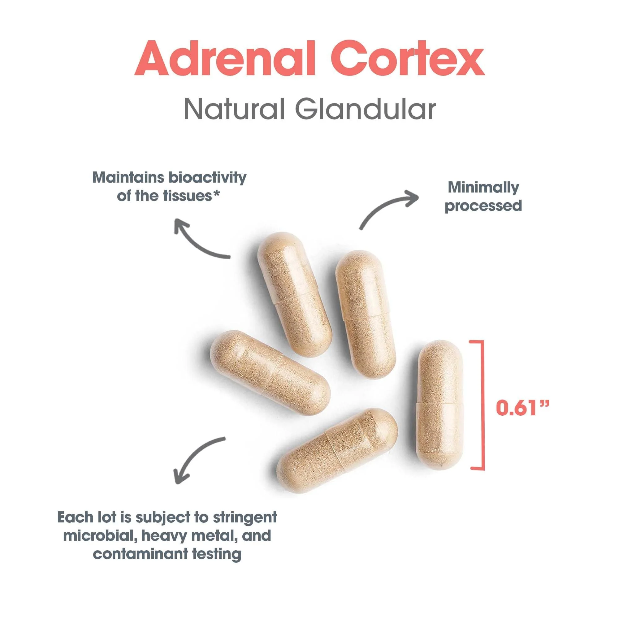 Allergy Research Group Adrenal Cortex Support - Adrenal Glandular Supplement, Immune Function, 100mg Adrenal Extract, Bovine - 100 Count - Image 5