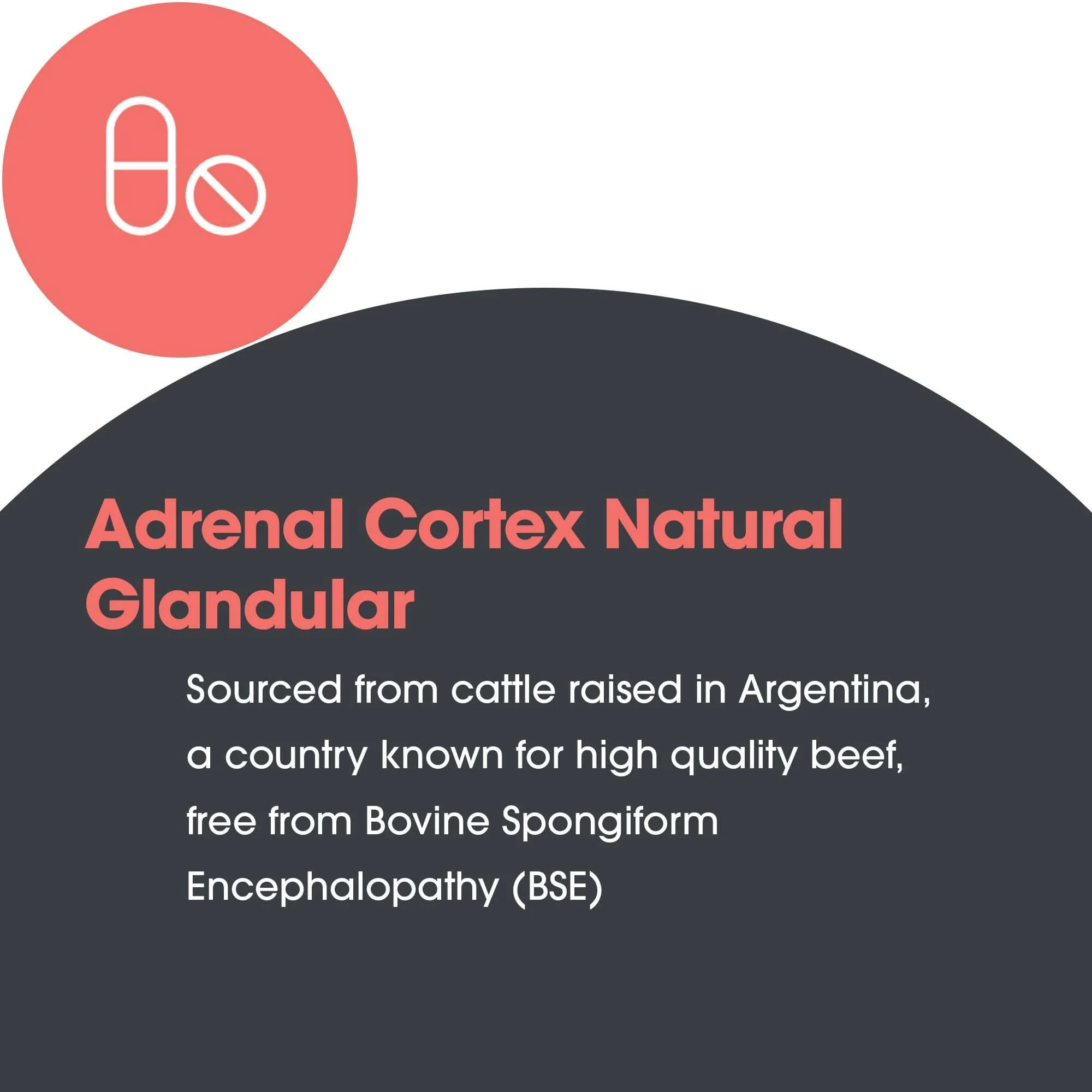 Allergy Research Group Adrenal Cortex Support - Adrenal Glandular Supplement, Immune Function, 100mg Adrenal Extract, Bovine - 100 Count - Image 7