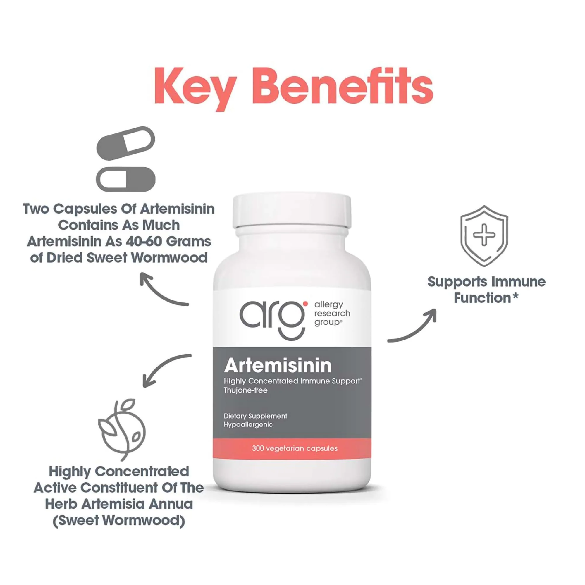 Allergy Research Group Artemisinin Supplement – GI Tract Support, 300 Count - Image 4