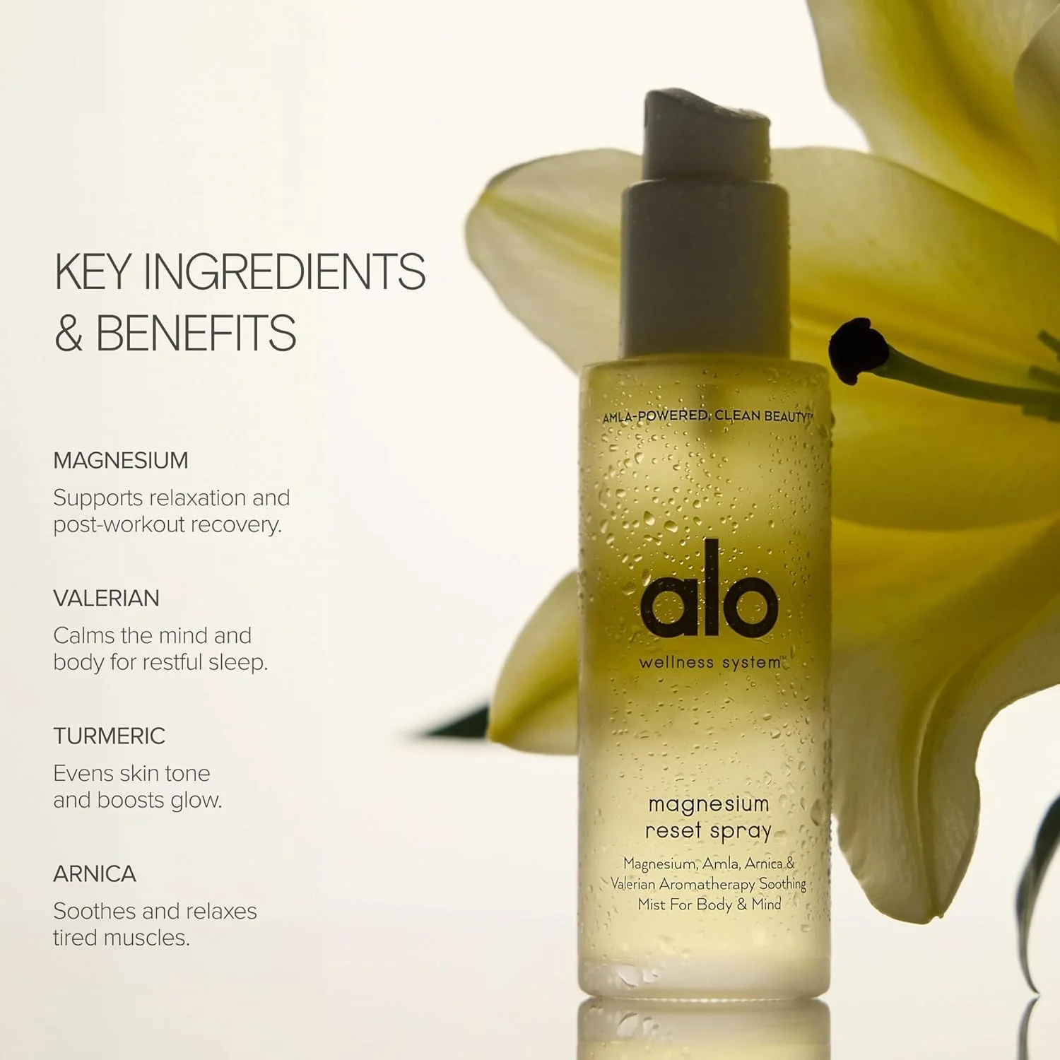 Alo Magnesium Reset Body Spray + Mini – Sleep & Stress Relief Calming Mist | Magnesium, Valerian Root, Arnica | Made in USA - Image 2