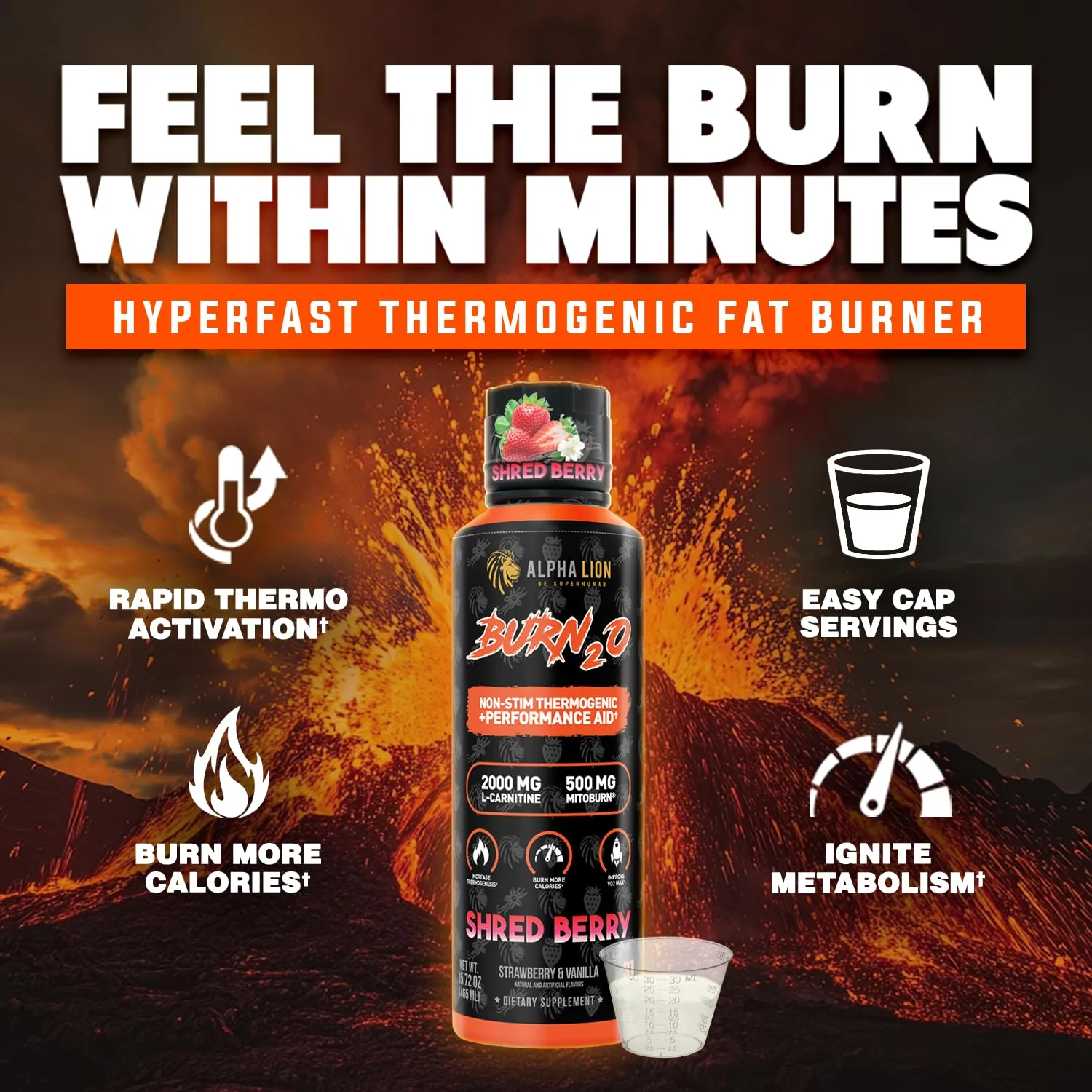 ALPHA LION Burn2O Liquid L-Carnitine 2000mg – Premium Fat Burner & Pre-Workout for Men & Women | ShredBerry - Image 2