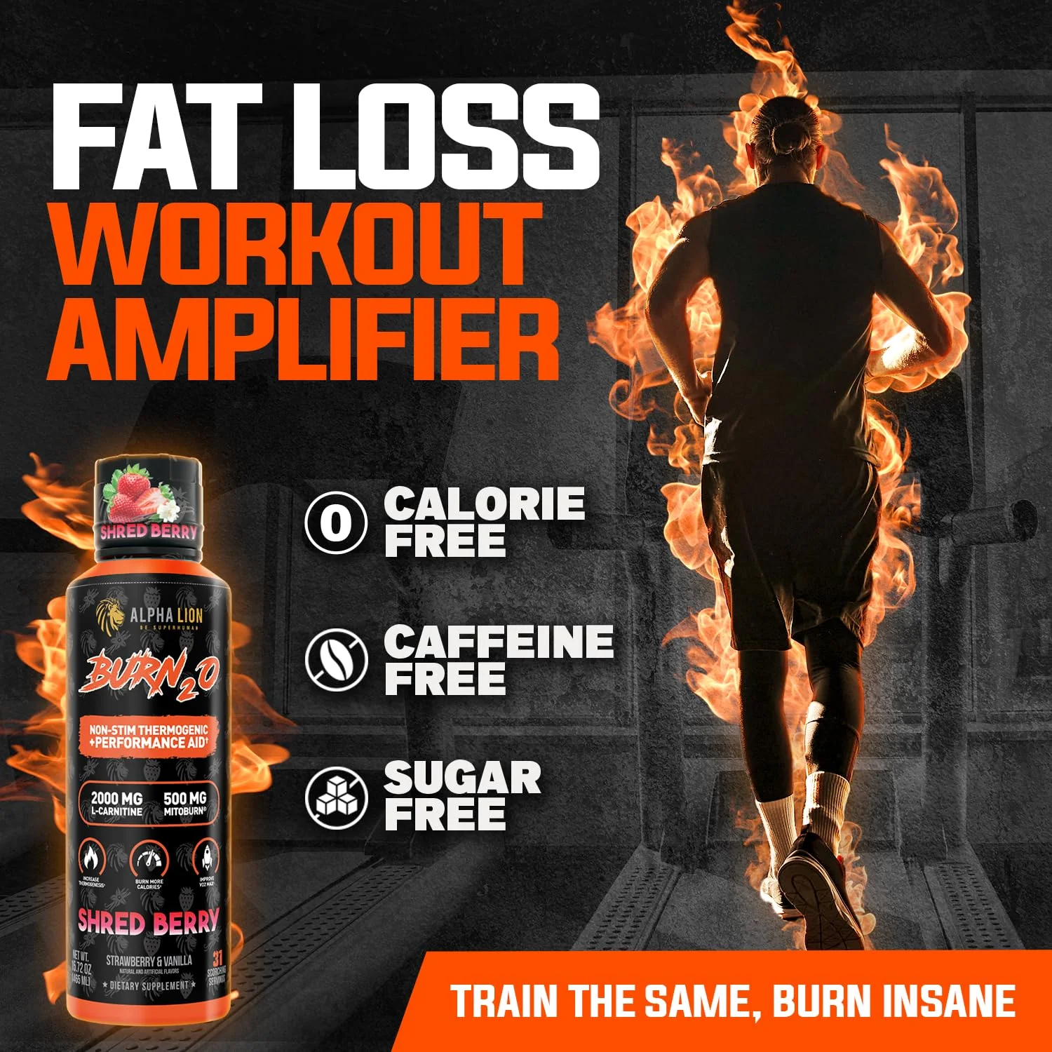ALPHA LION Burn2O Liquid L-Carnitine 2000mg – Premium Fat Burner & Pre-Workout for Men & Women | ShredBerry - Image 3