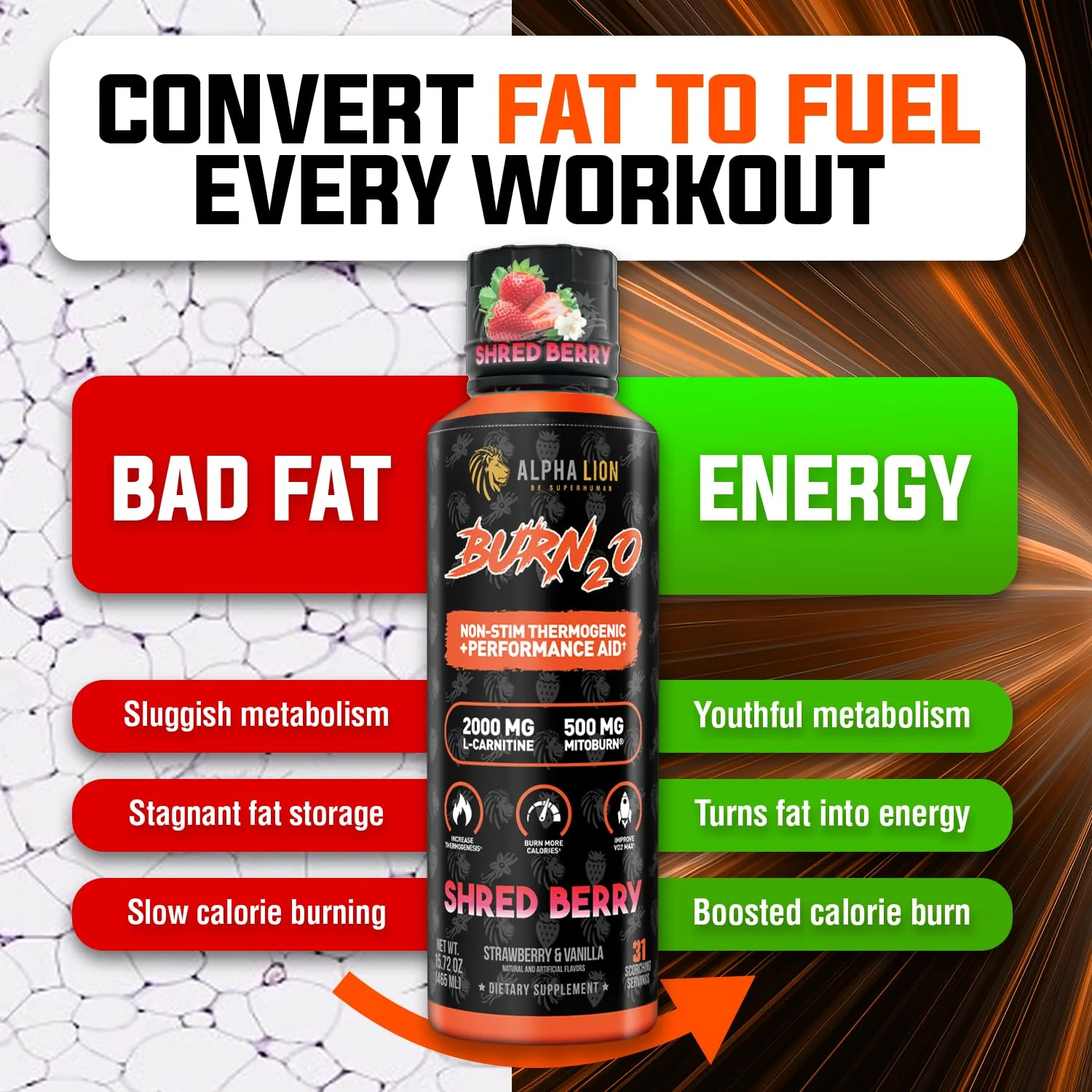 ALPHA LION Burn2O Liquid L-Carnitine 2000mg – Premium Fat Burner & Pre-Workout for Men & Women | ShredBerry - Image 6