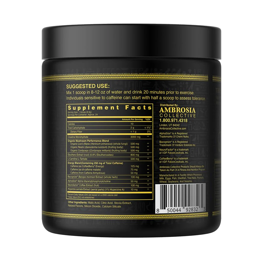 Ambrosia Kinetic - Organic Pre Workout Powder | Tropical Lime | Mushroom-Enhanced Nootropic Formula | 24 Servings - Image 6
