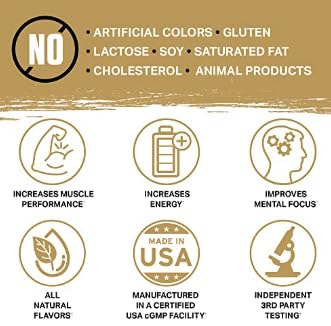 Ambrosia Kinetic - Organic Pre Workout Powder | Tropical Lime | Mushroom-Enhanced Nootropic Formula | 24 Servings - Image 8
