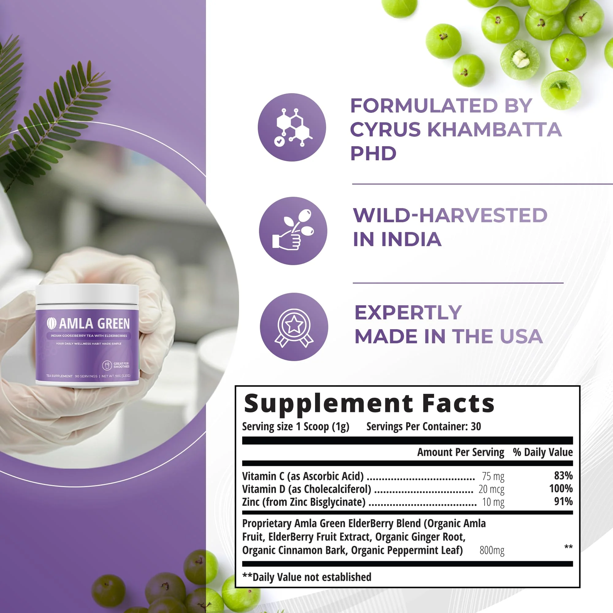 Amla Green 20x Concentrated Amla Powder with Elderberry – Immune Support Superfood, Ginger, Cinnamon & Peppermint, 90 Servings - Image 2