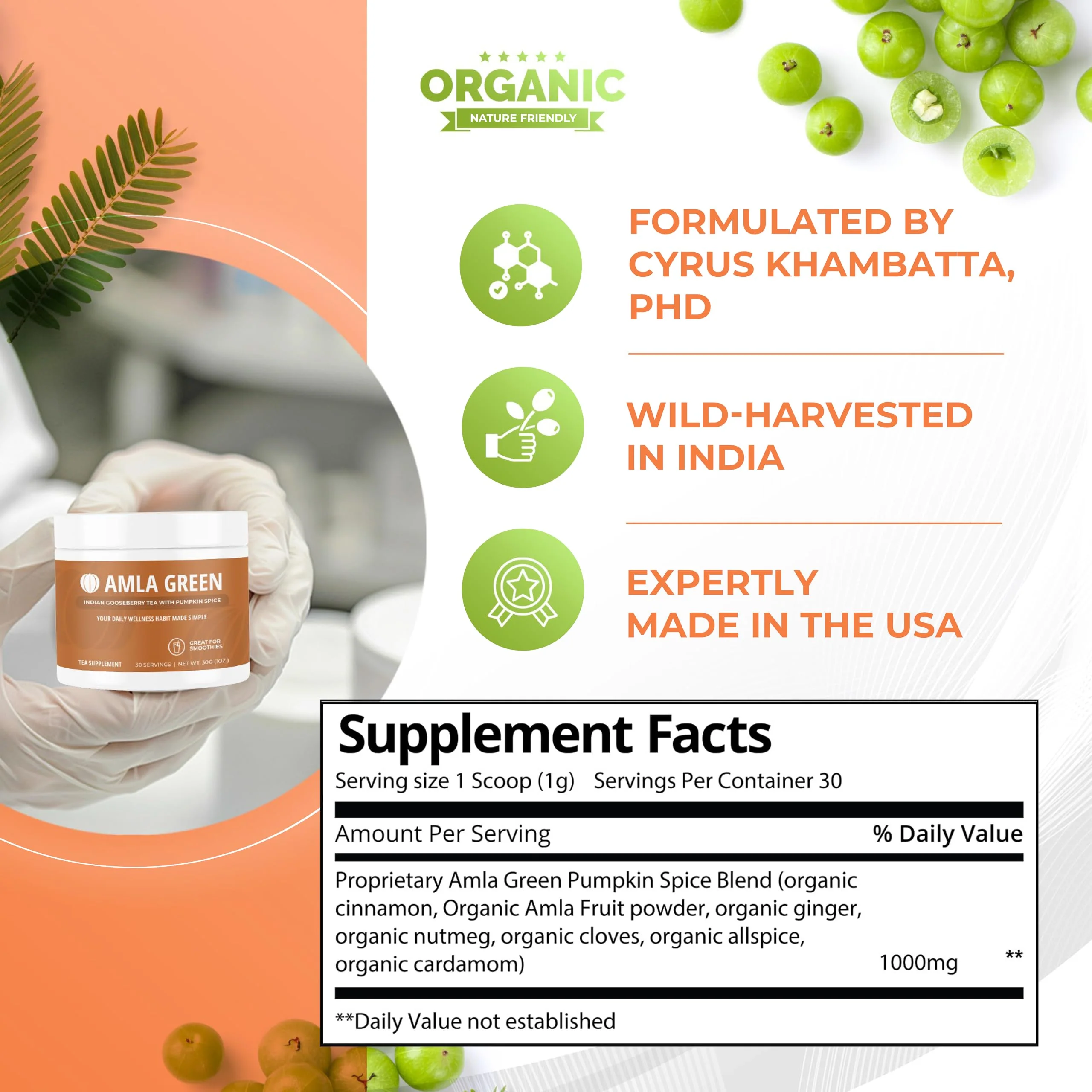 Amla Green 20x Concentrated Amla Powder with Pumpkin Spice – 90 Servings - Image 5