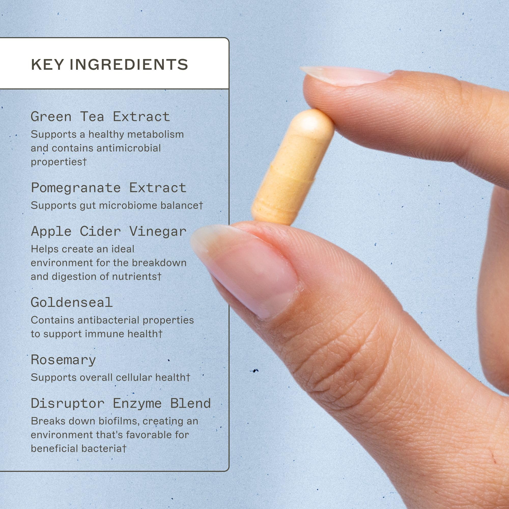 Amy Myers MD Biofilm Disruptor 60 Capsules | Microbiome Support & Immune Health - Image 3