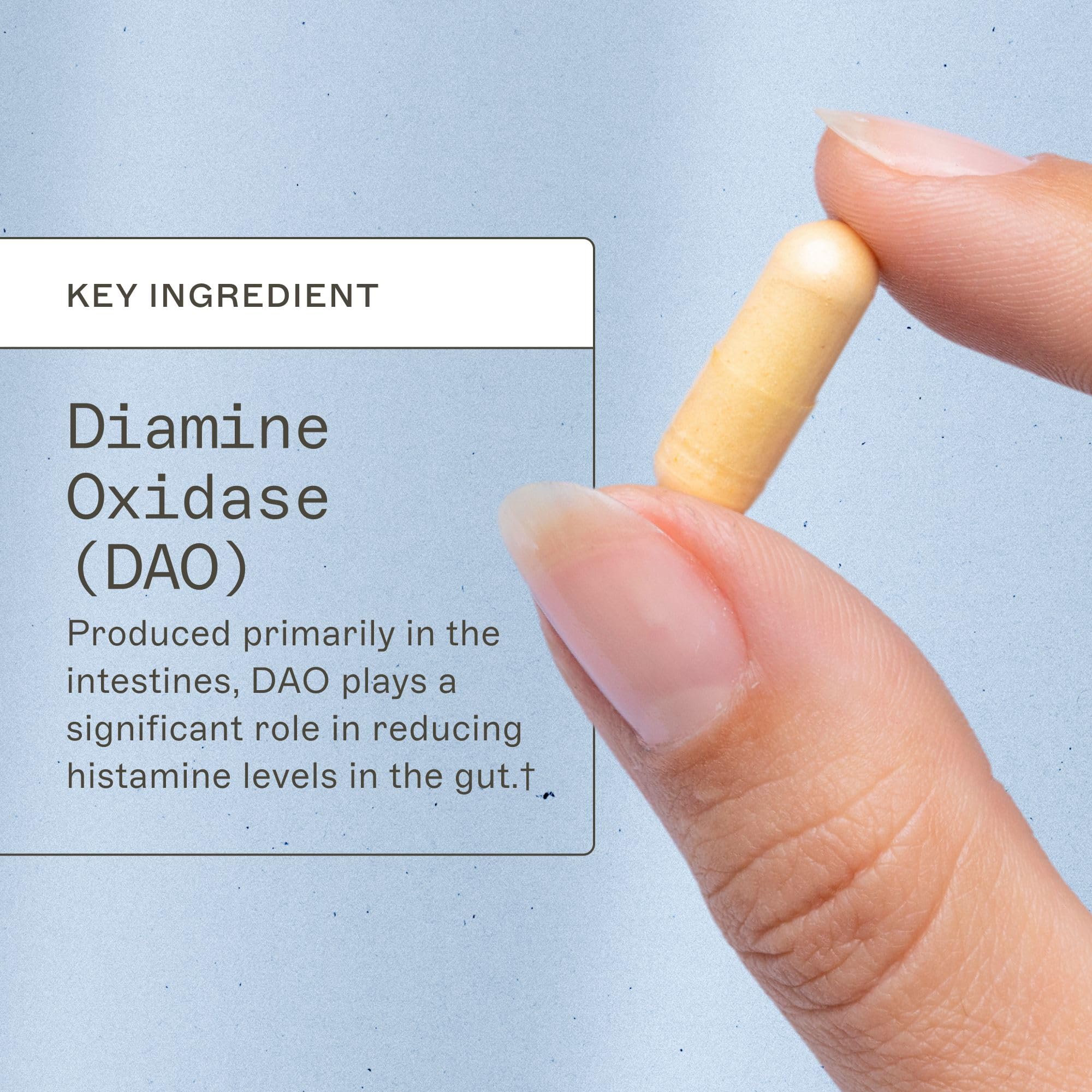 Amy Myers MD Histazyme DAO Enzyme Supplement – Digestive Support for Histamine Sensitivity, 60 Capsules - Image 3