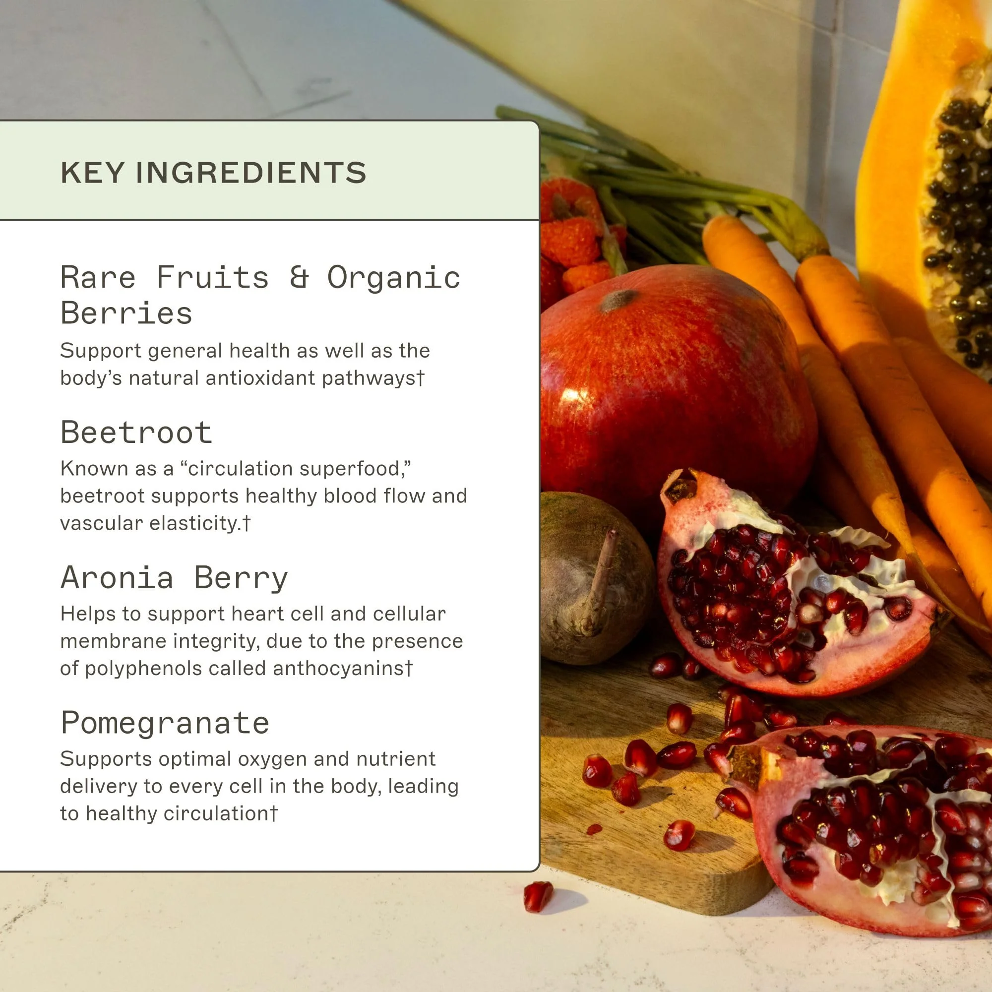 Amy Myers MD Organic Reds Superfood Powder – Beet Root, Aronia & Raspberry | 30 Servings - Image 9