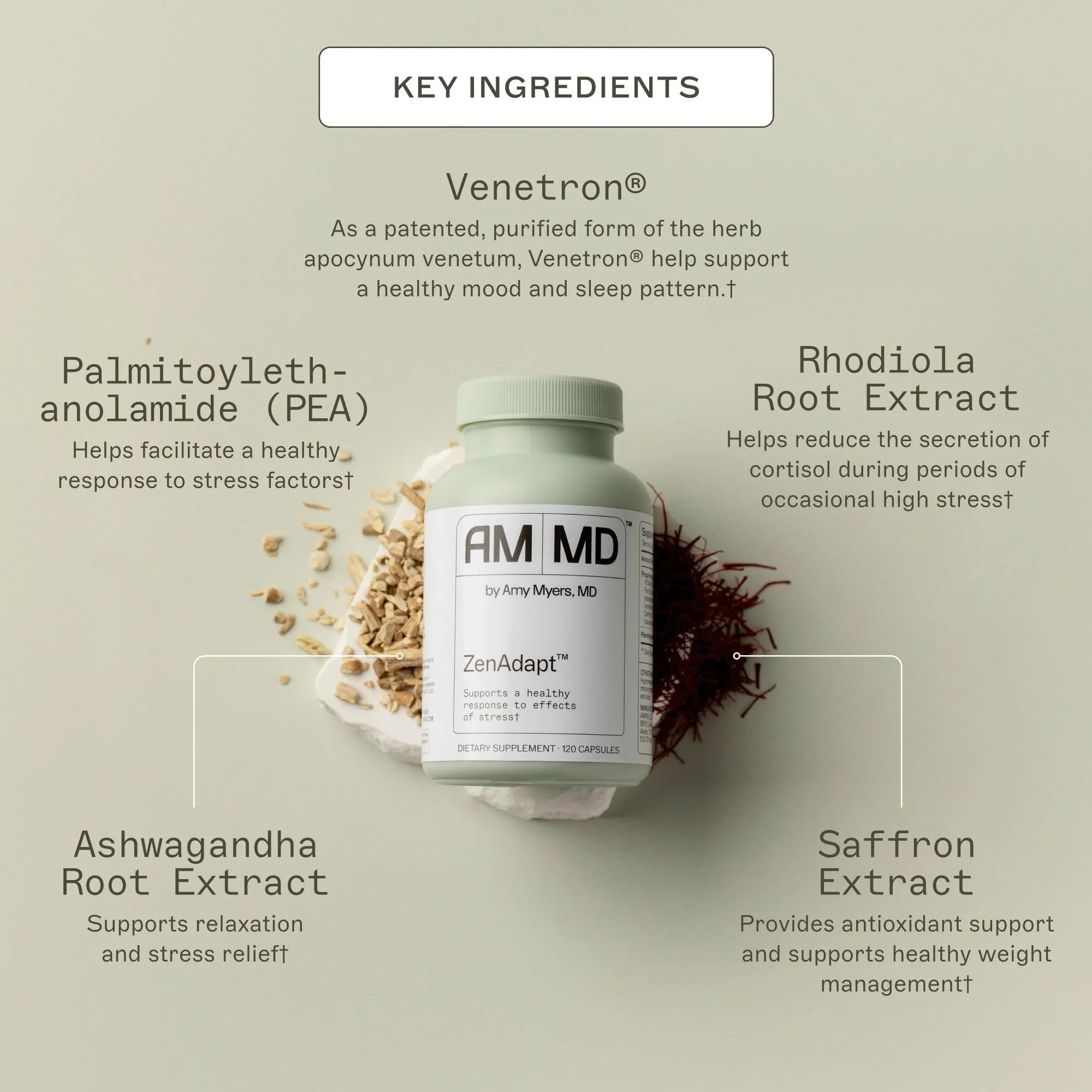 Amy Myers MD ZenAdapt – Stress Relief & Cortisol Balance | Adaptogenic Capsule - Image 15