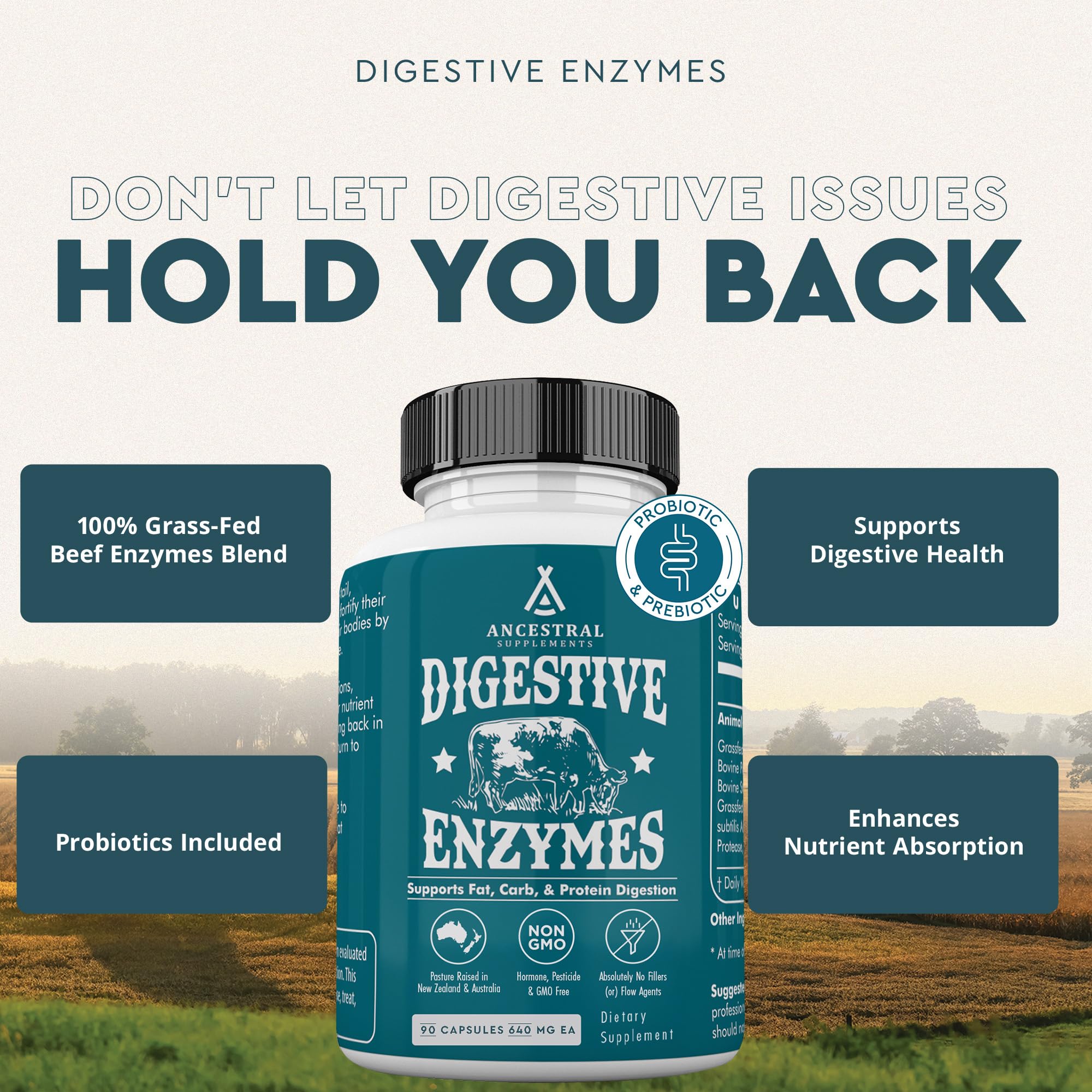 Ancestral Supplements Digestive Enzymes for Women & Men – Probiotics & Grass-Fed Organs, 90 Capsules - Image 2