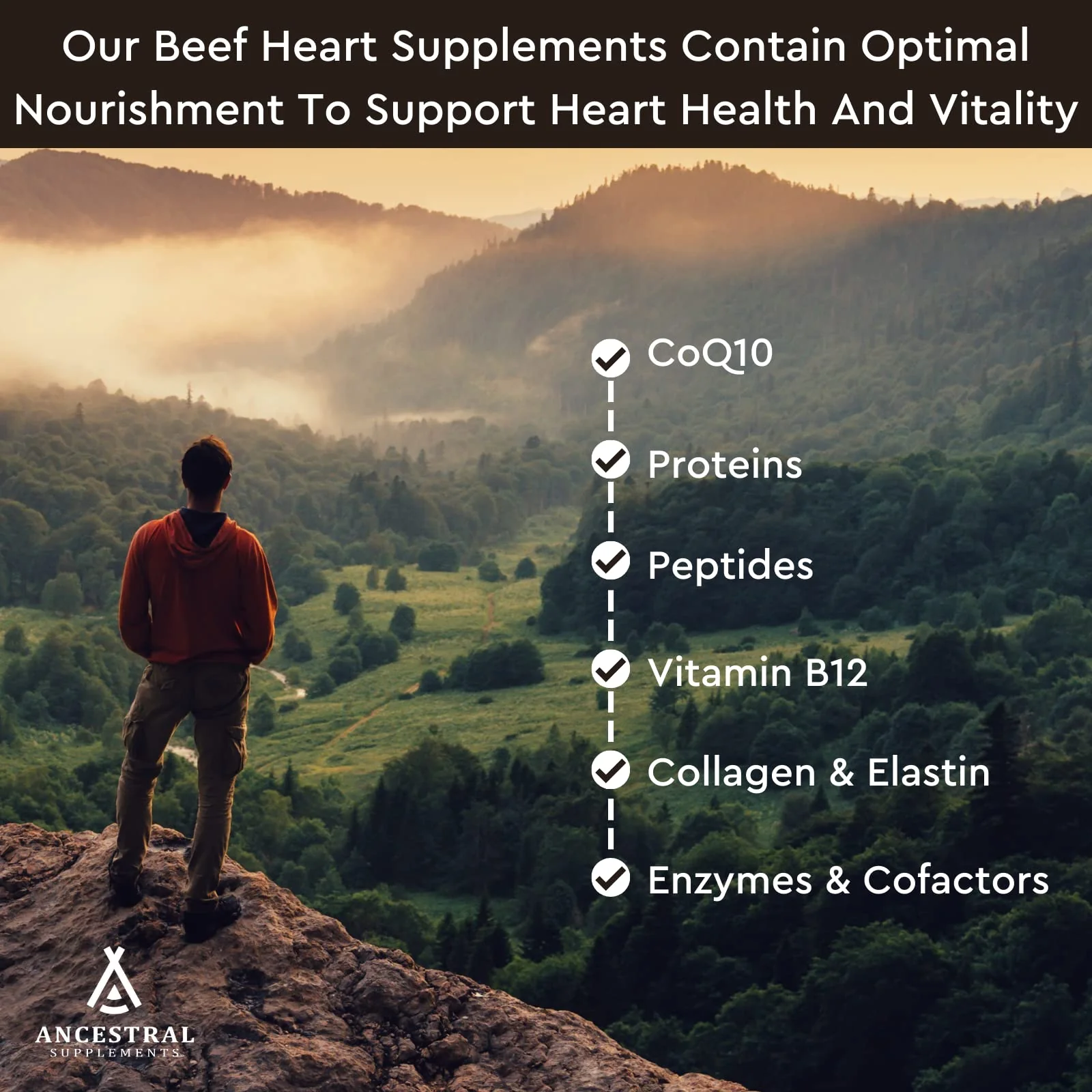 Ancestral Supplements Grass-Fed Beef Heart 3300mg – CoQ10, 180 Capsules, Non-GMO - Image 8