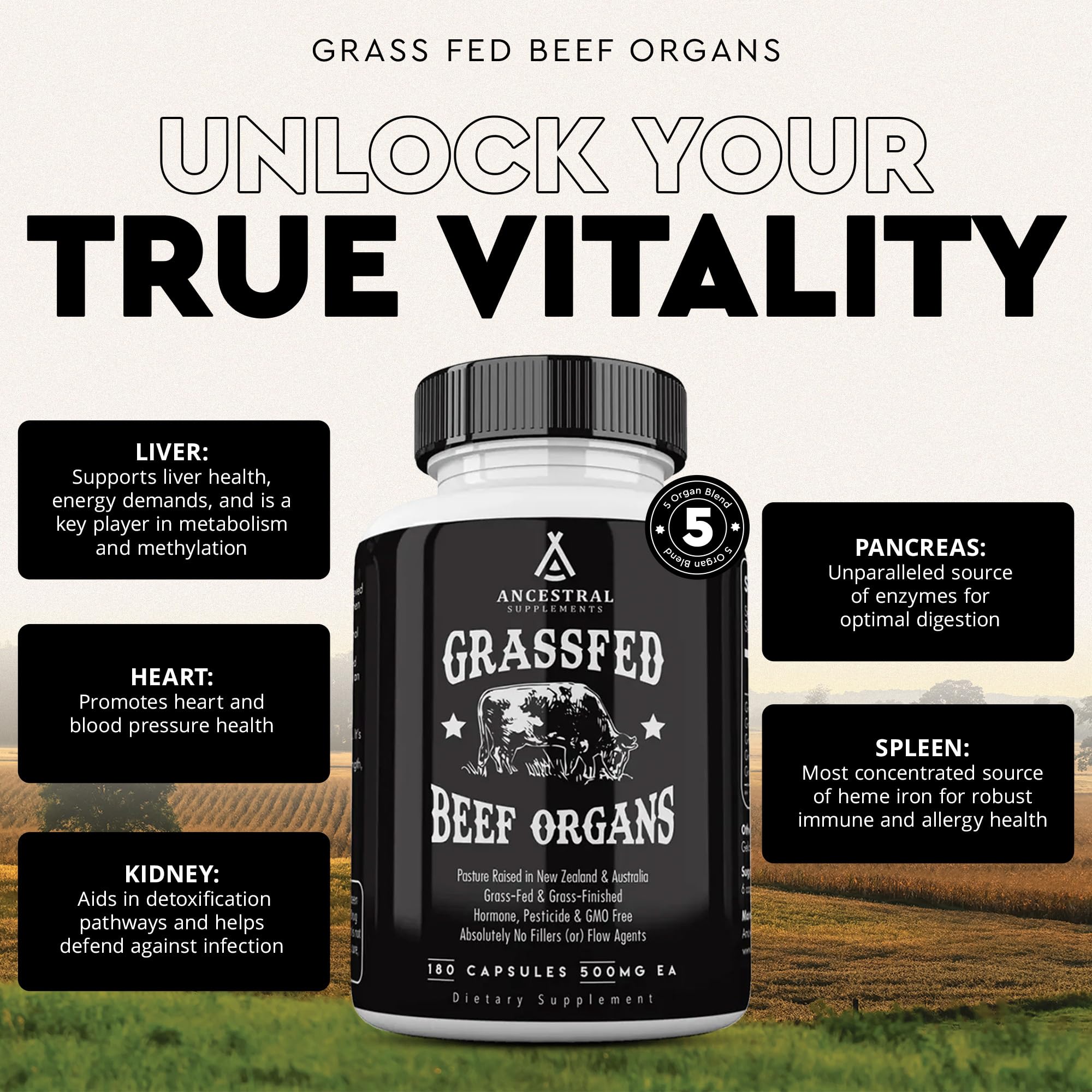 Ancestral Supplements Grass-Fed Beef Organs – Liver, Heart, Kidney, Pancreas, Spleen | 180 Capsules - Image 2
