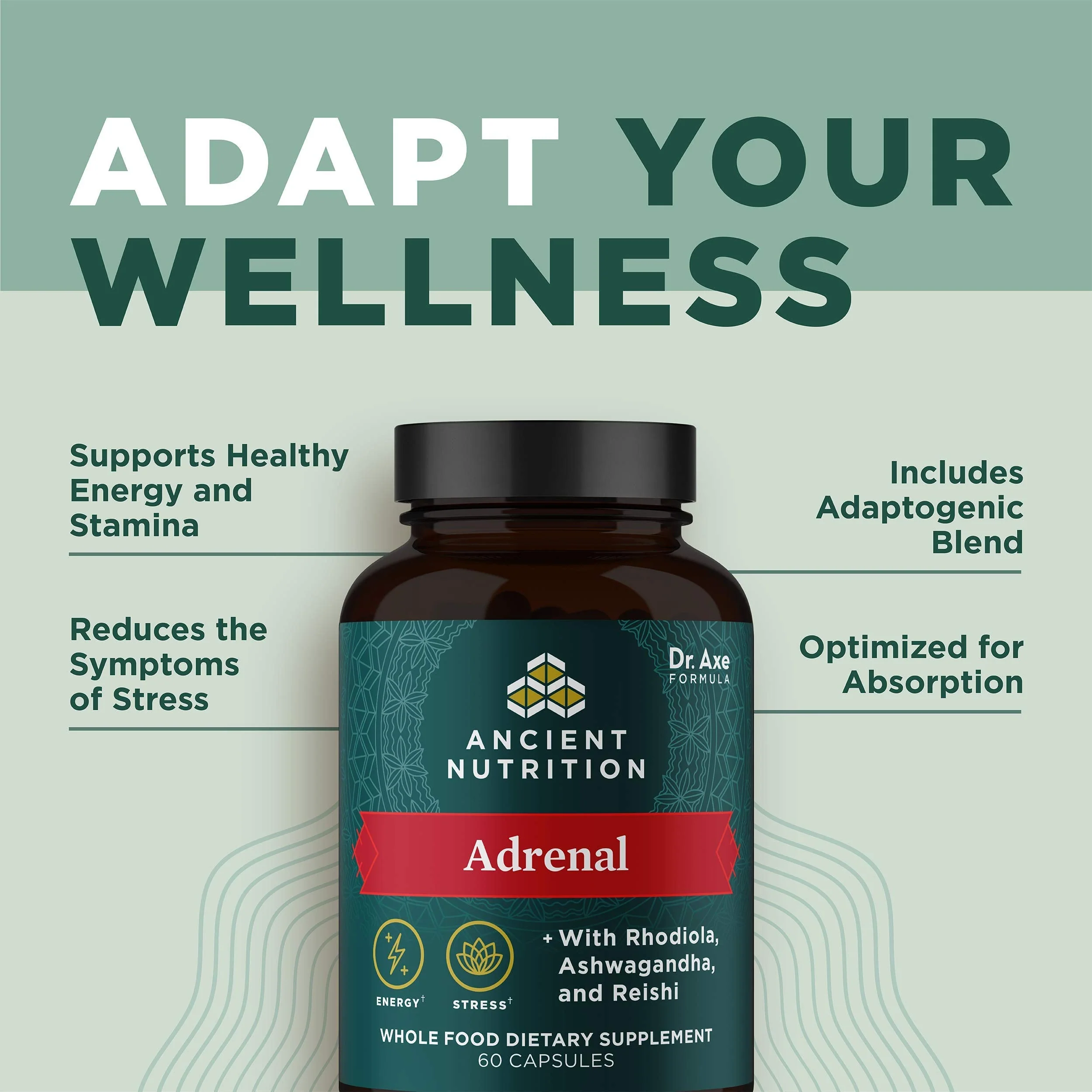 Ancient Nutrition Adrenal Support with Ashwagandha - 60 Capsules, 1300mg (Keto & Paleo Friendly) - Image 5