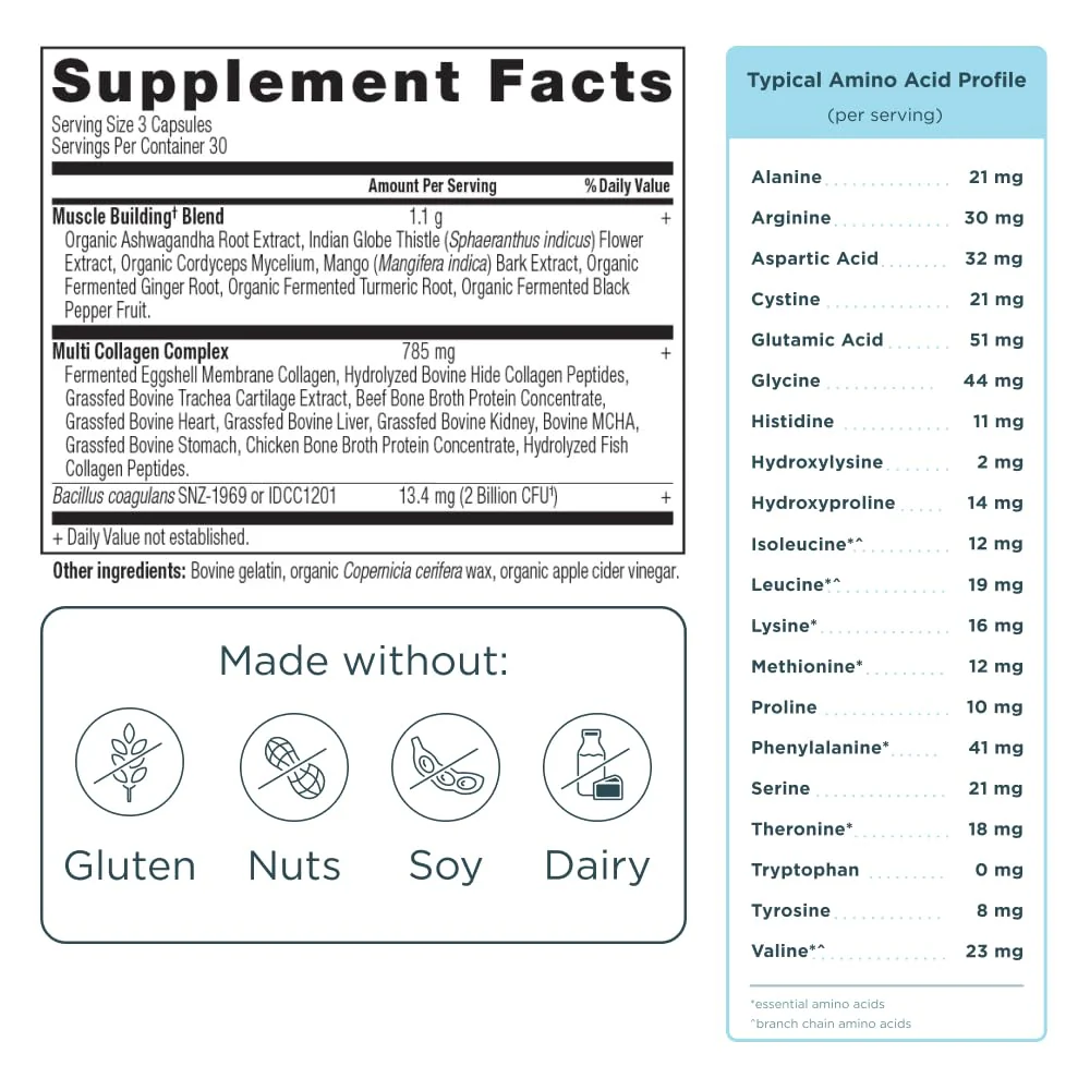 Ancient Nutrition Advanced Multi Collagen Protein Capsules – Muscle Support, 90 Count - Image 10
