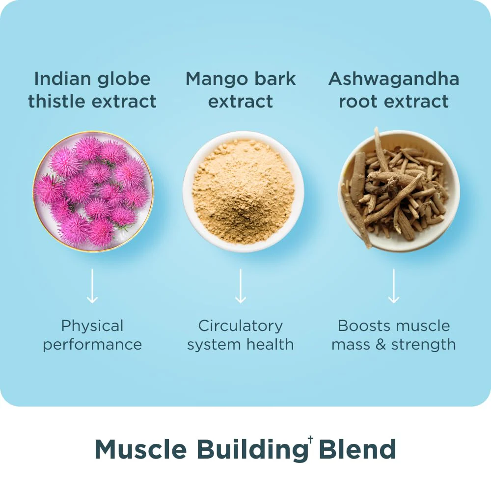 Ancient Nutrition Advanced Multi Collagen Protein Capsules – Muscle Support, 90 Count - Image 14