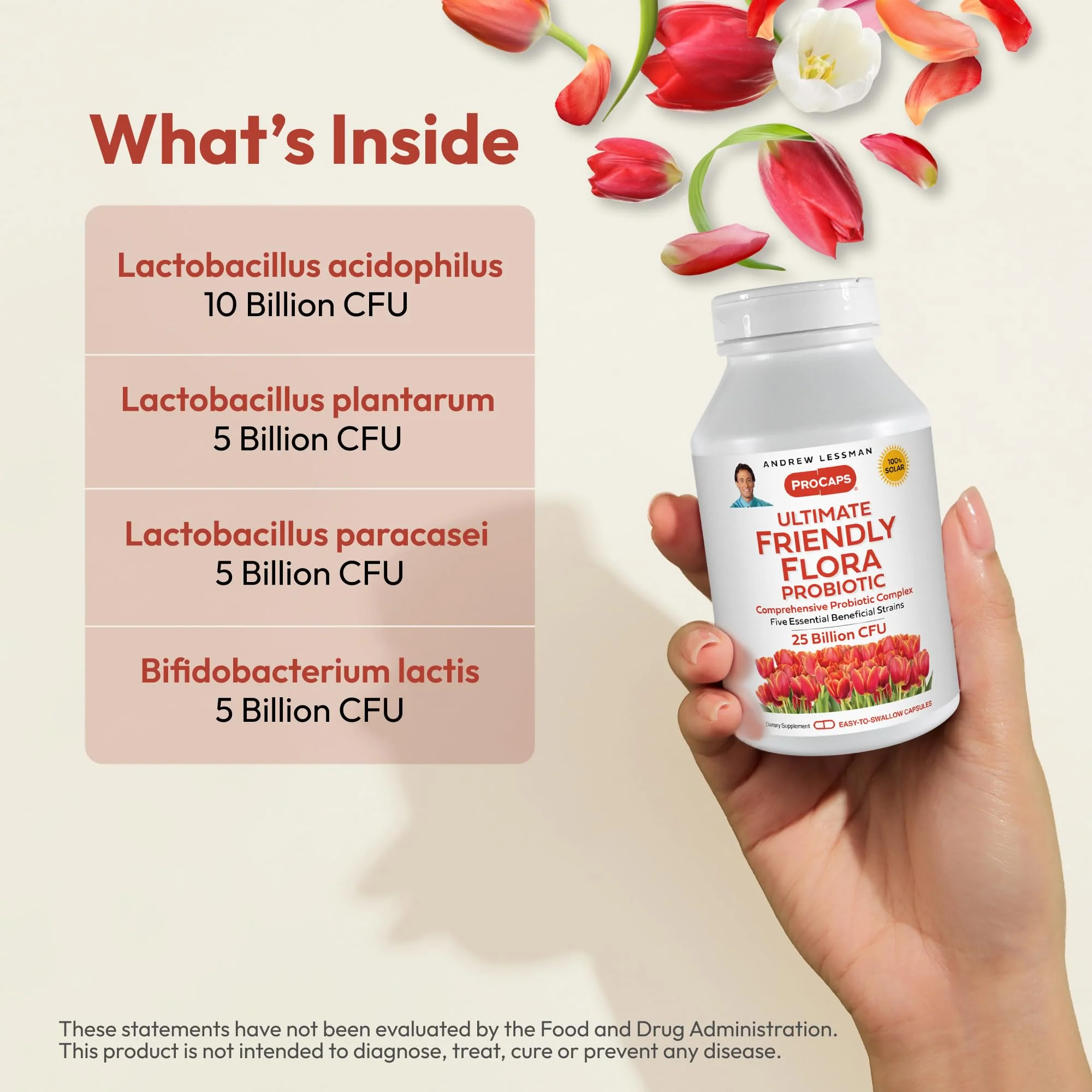 ANDREW LESSMAN Ultimate Friendly Flora Probiotic — 25B CFU, 5 Strains, 240 Capsules - Image 10