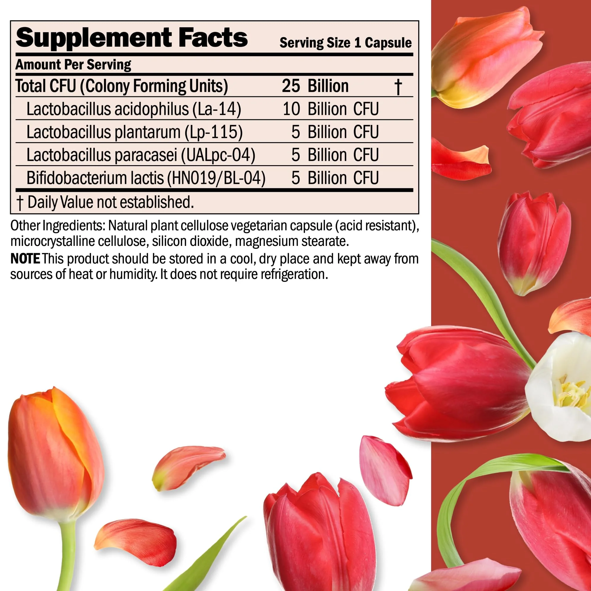ANDREW LESSMAN Ultimate Friendly Flora Probiotic — 25B CFU, 5 Strains, 240 Capsules - Image 2