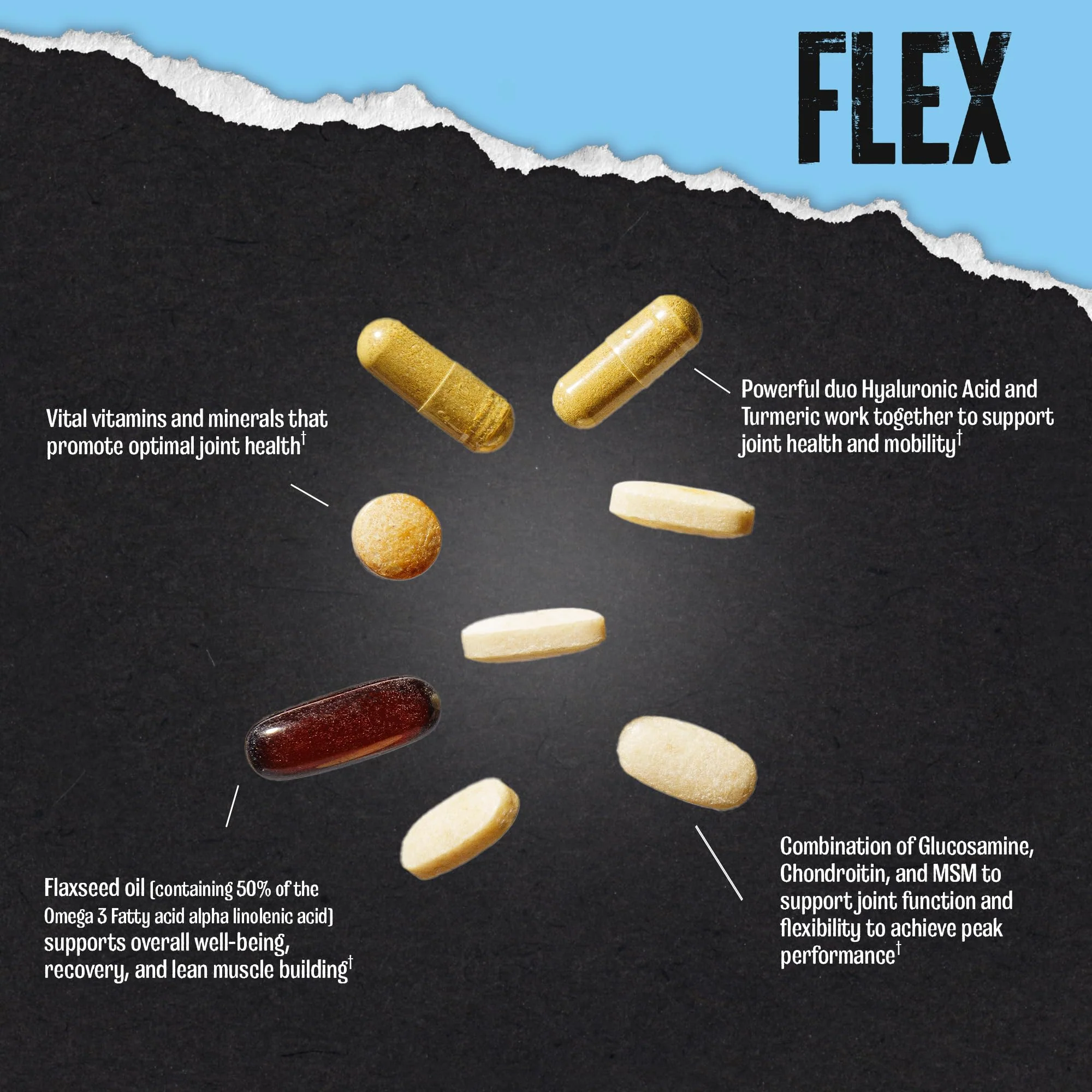 Animal Flex – Glucosamine Chondroitin Joint Support for Men & Women | Turmeric & Boswellia - Image 4