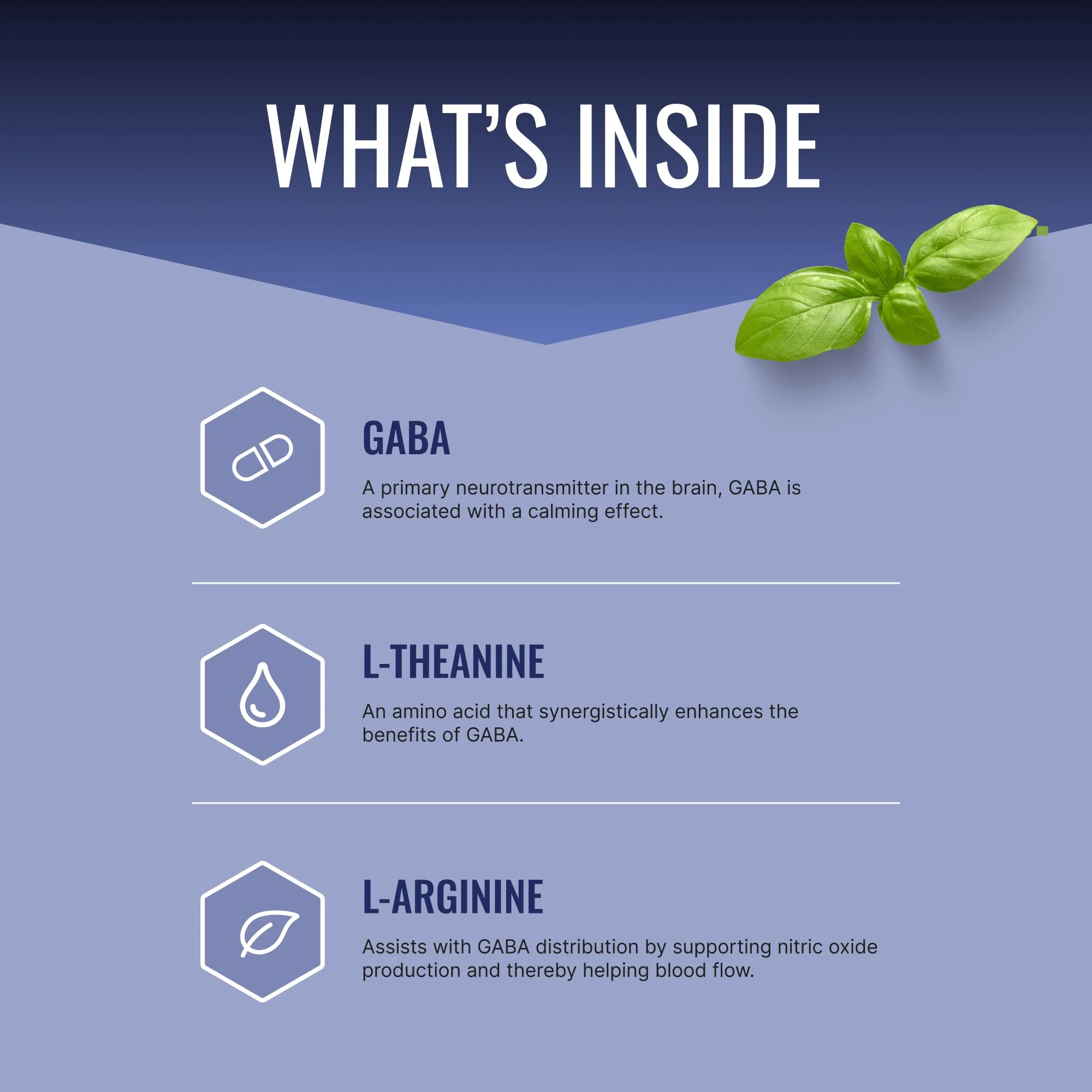 Approved Science GABA+ | Calm, Sleep & Mood Support | 600mg GABA + L-Theanine | 360 Vegan Capsules - Image 8