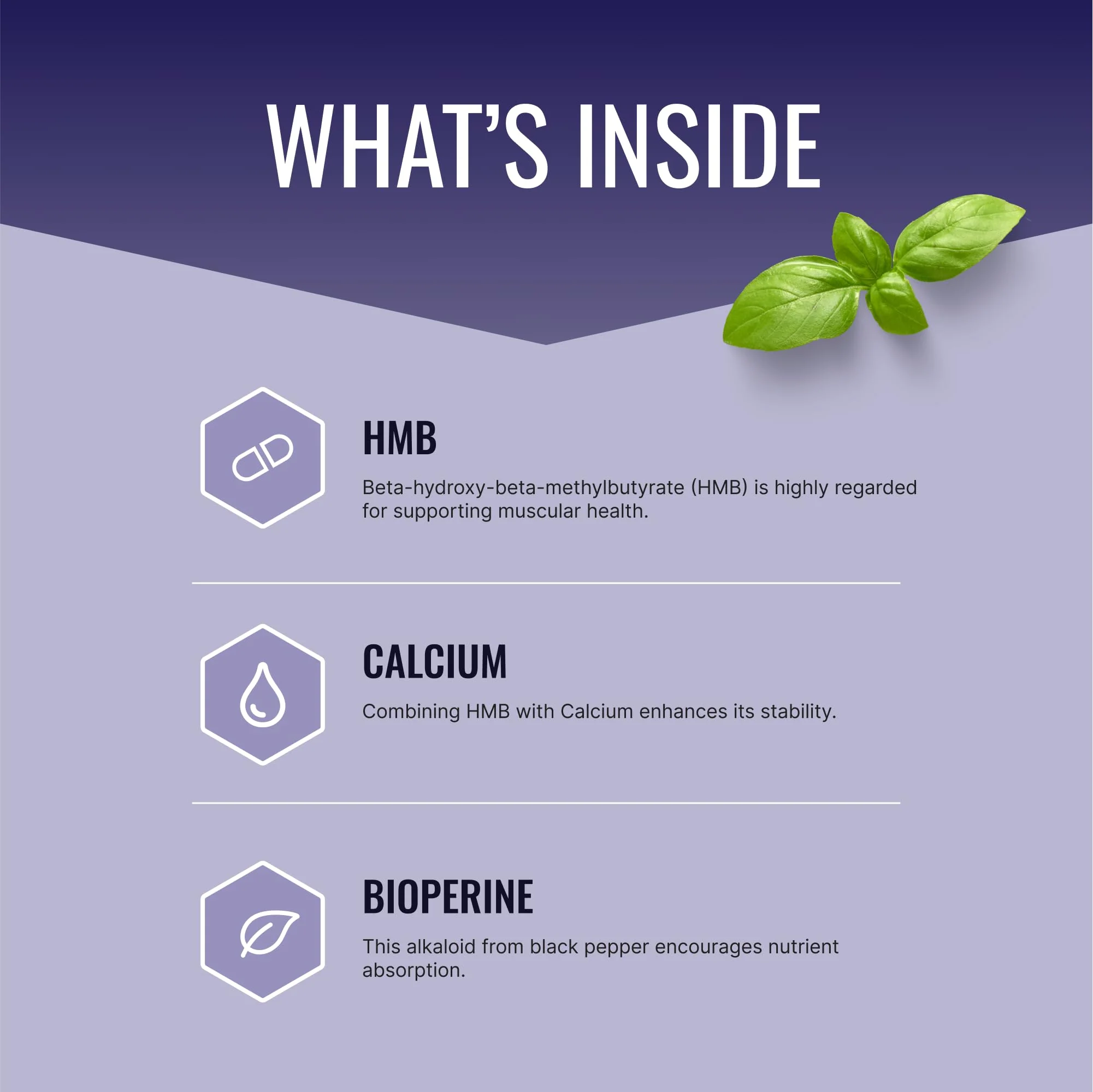 Approved Science HMB - Supports Muscles and Exercise - 1500mg HMB, BioPerine, 60 Vegan Capsules - Image 2