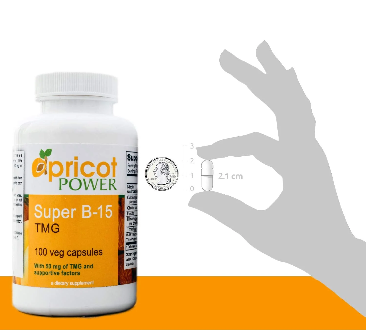 Apricot Power Super B-15 Pangamic Acid – Non-Toxic B-15, 100 Veg Caps - Image 5