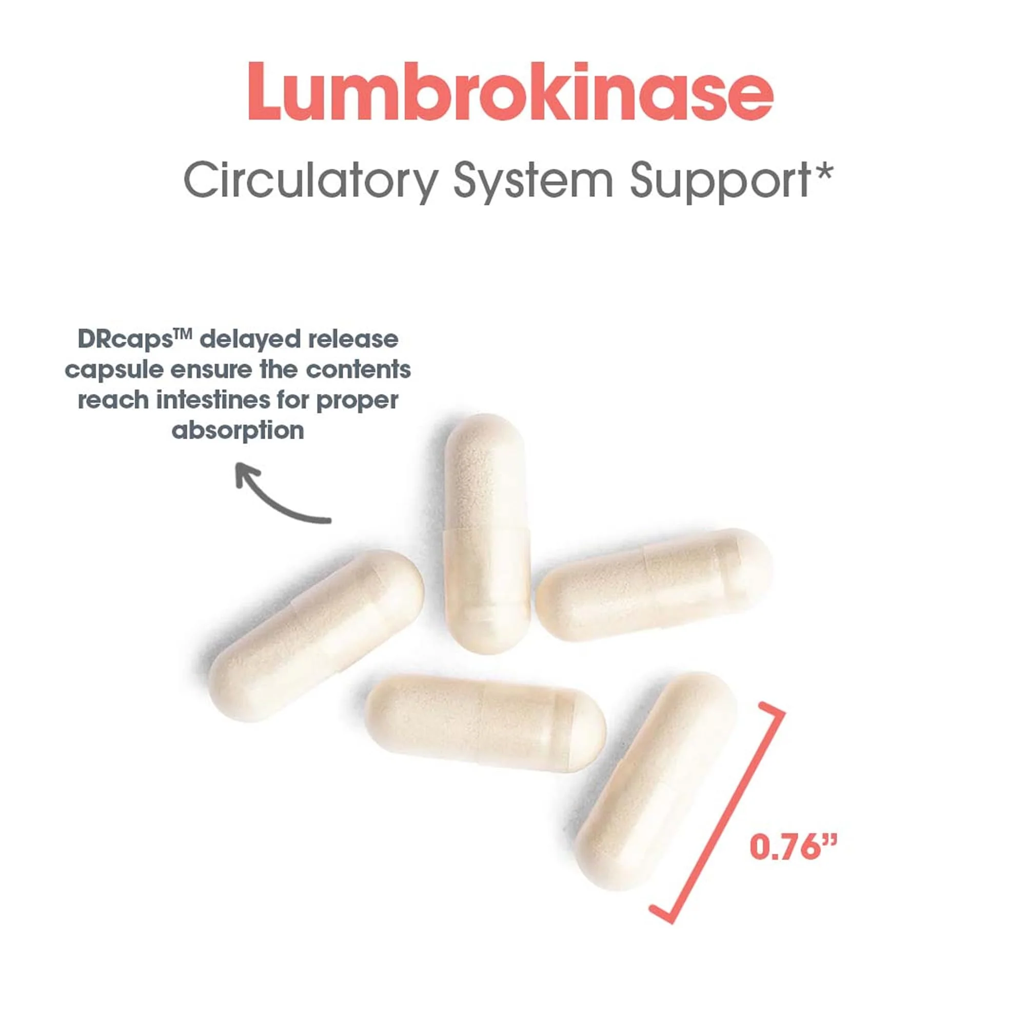 ARG Lumbrokinase Circulatory System Support – Delayed-Release Enzyme Supplement | Allergy Research Group - Image 13