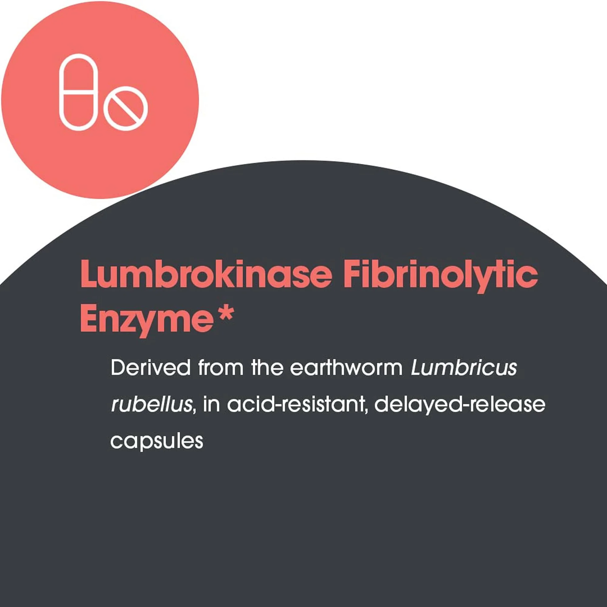 ARG Lumbrokinase Circulatory System Support – Delayed-Release Enzyme Supplement | Allergy Research Group - Image 15