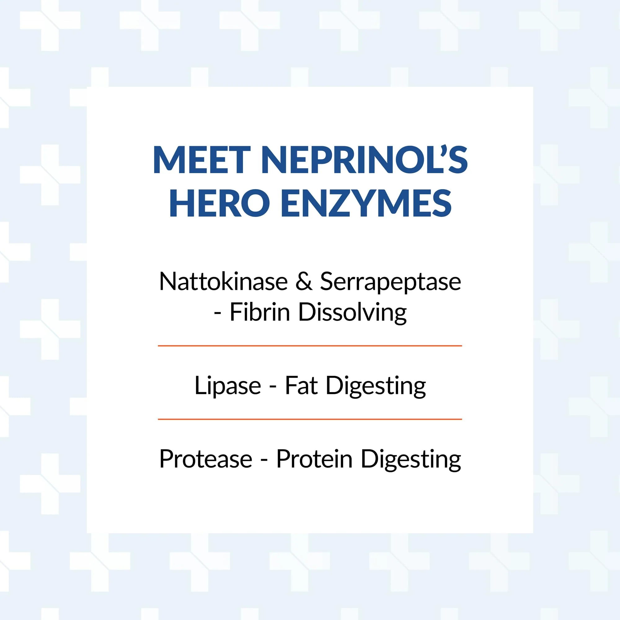 Arthur Andrew Medical Neprinol AFD - Multi Enzyme Blend with Serrapeptase & Nattokinase (300 Count) - Image 12