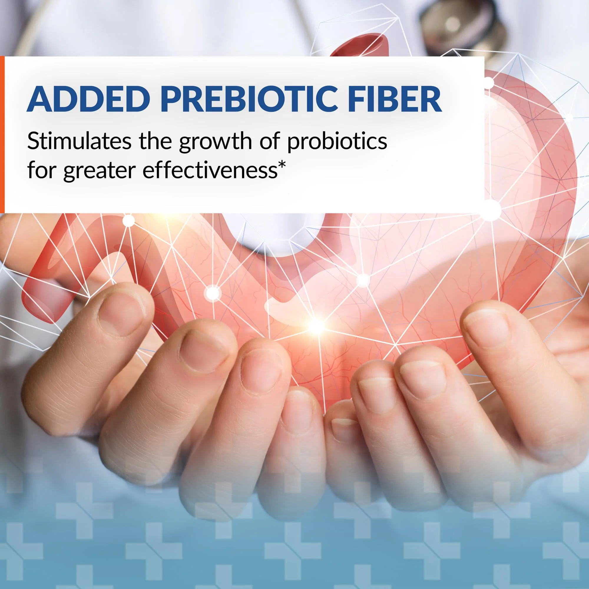 Arthur Andrew Medical Syntol 3-in-1 Probiotics, Prebiotic Fiber & Enzymes – 180 Capsules - Image 2