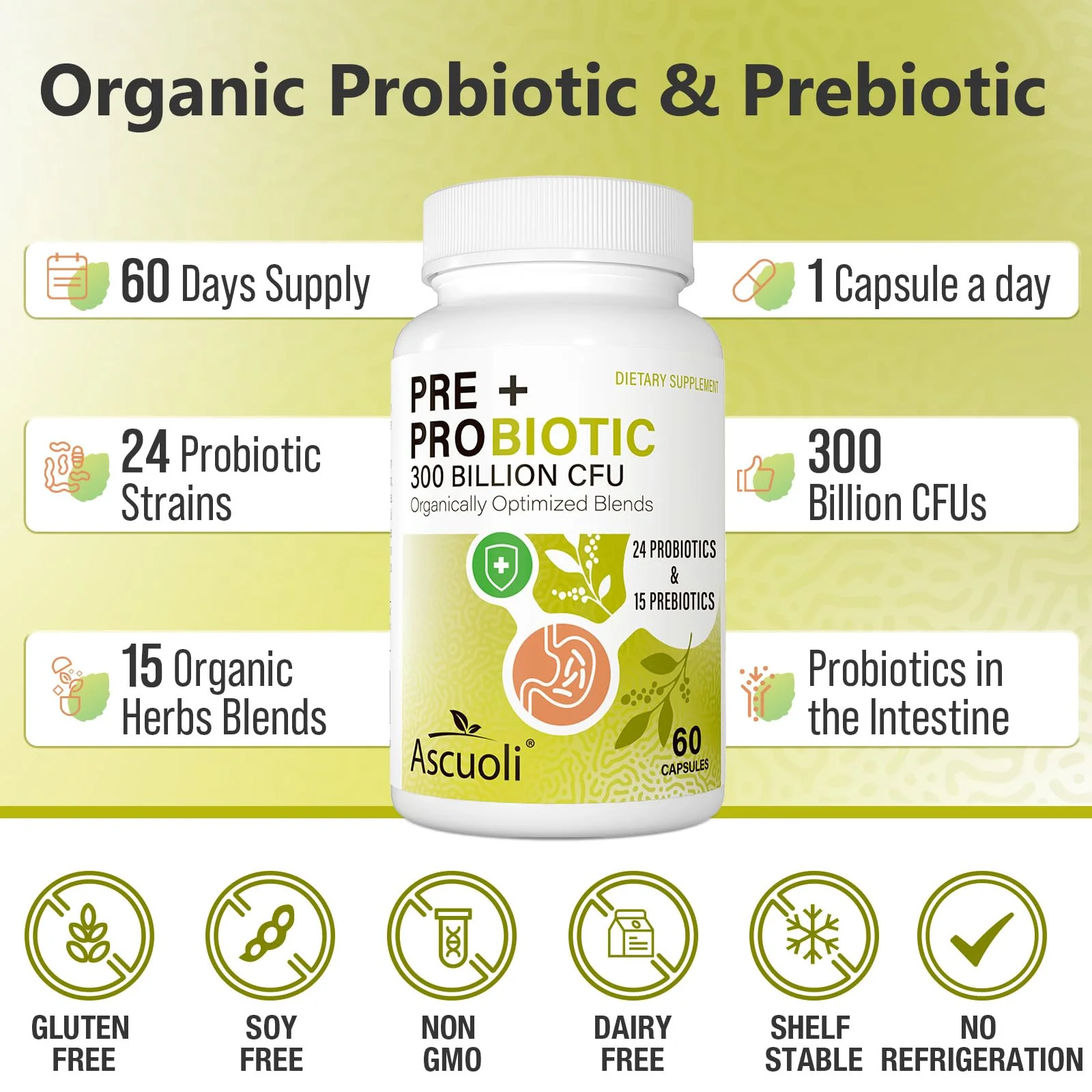 Ascuoli Probiotics for Women & Men – 300B CFU, 24 Strains + 15 Organic Herbs Prebiotic Blend | 240 Veg Capsules - Image 4