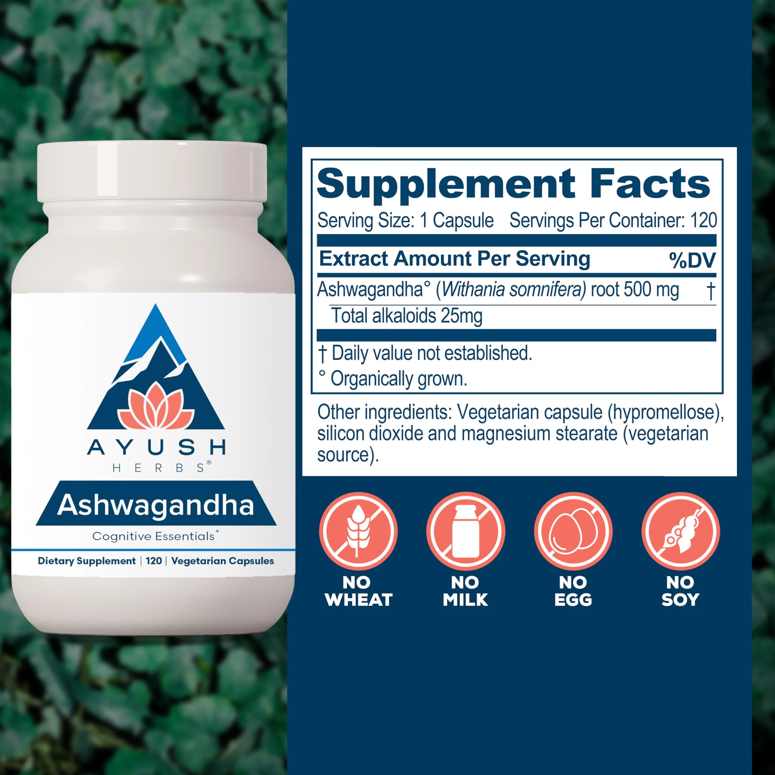 Ayush Herbs Ashwagandha Capsules - 500 mg, 120 Veg Caplets for Stress & Focus - Image 5